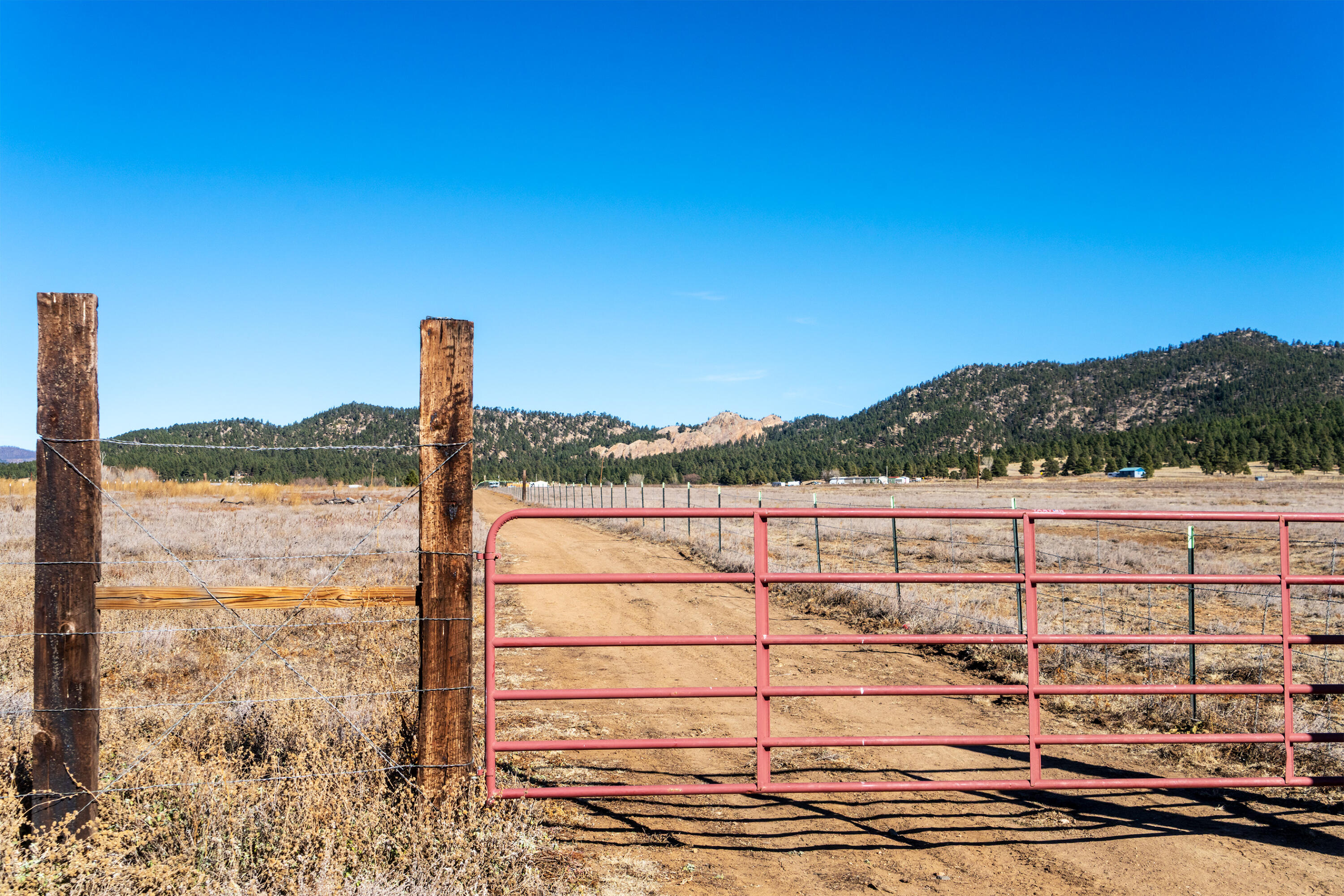 Photo 4 — 1524 New Mexico 94