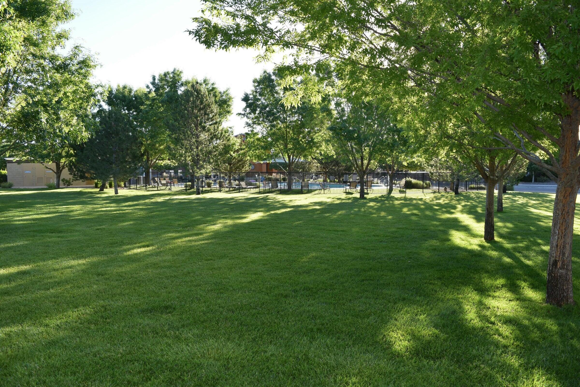 Photo 7 — 6028 NAUMAN Drive SE