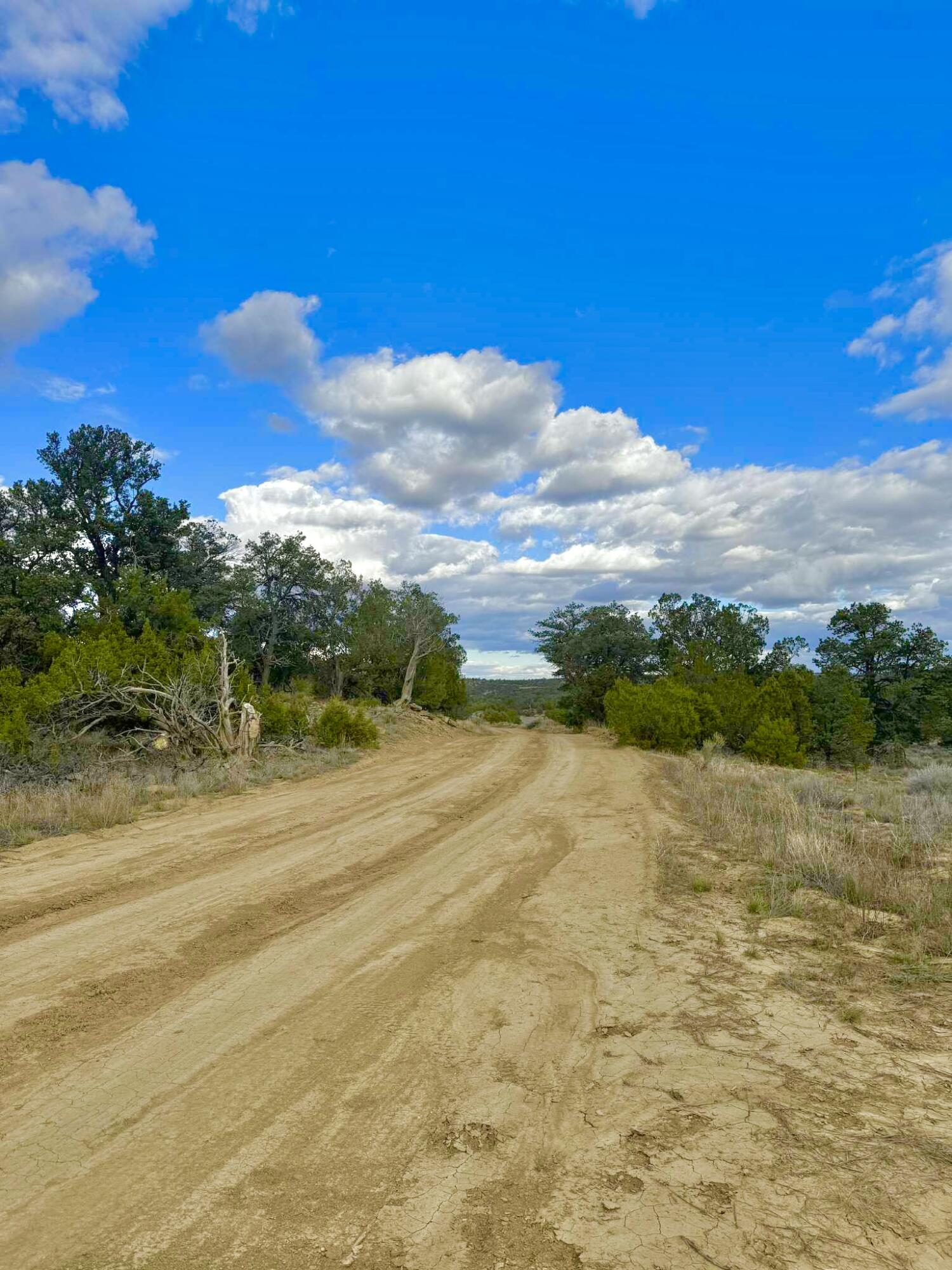 Photo 8 — 98 Great White Father Road
