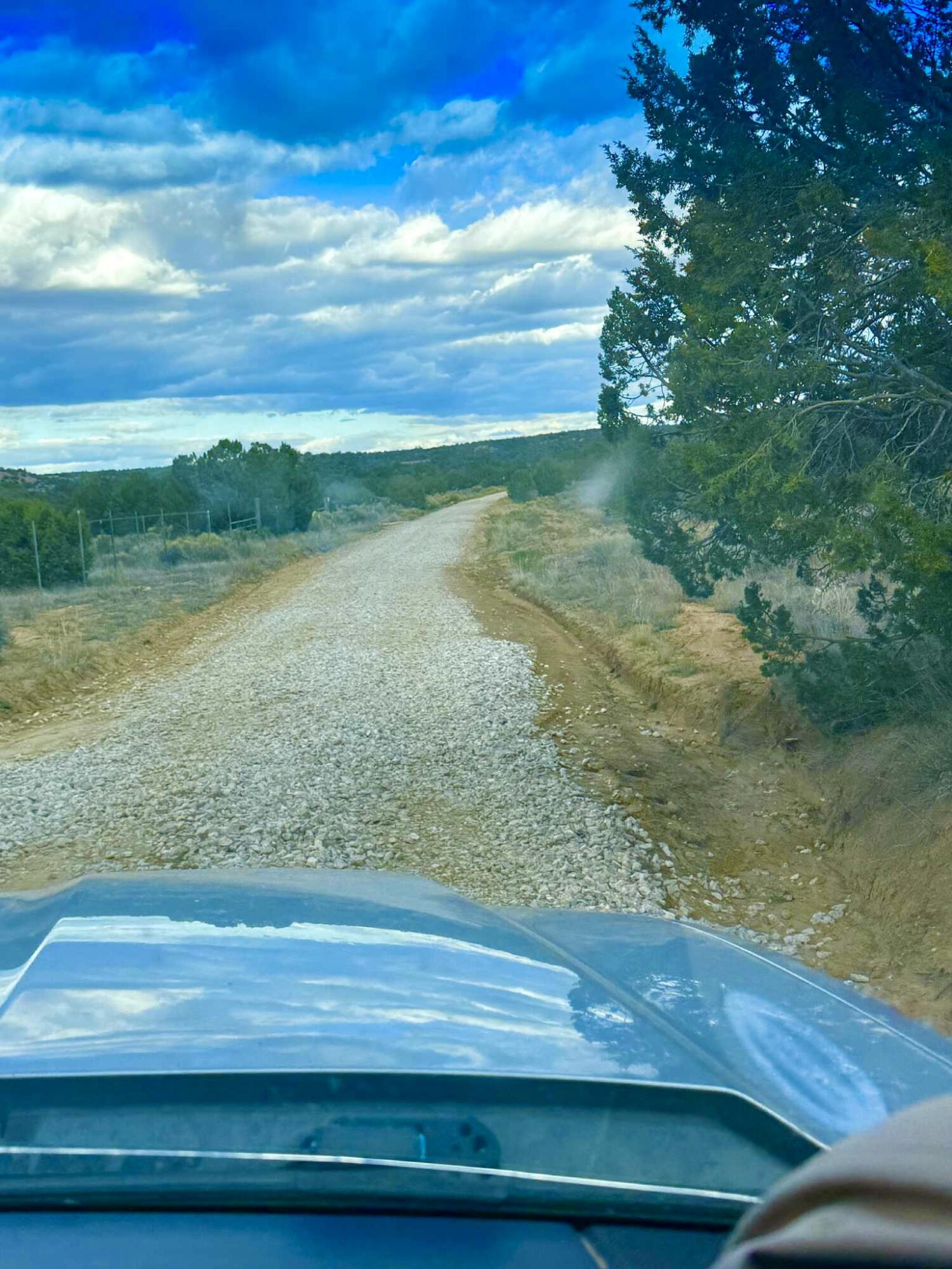 Photo 9 — 98 Great White Father Road