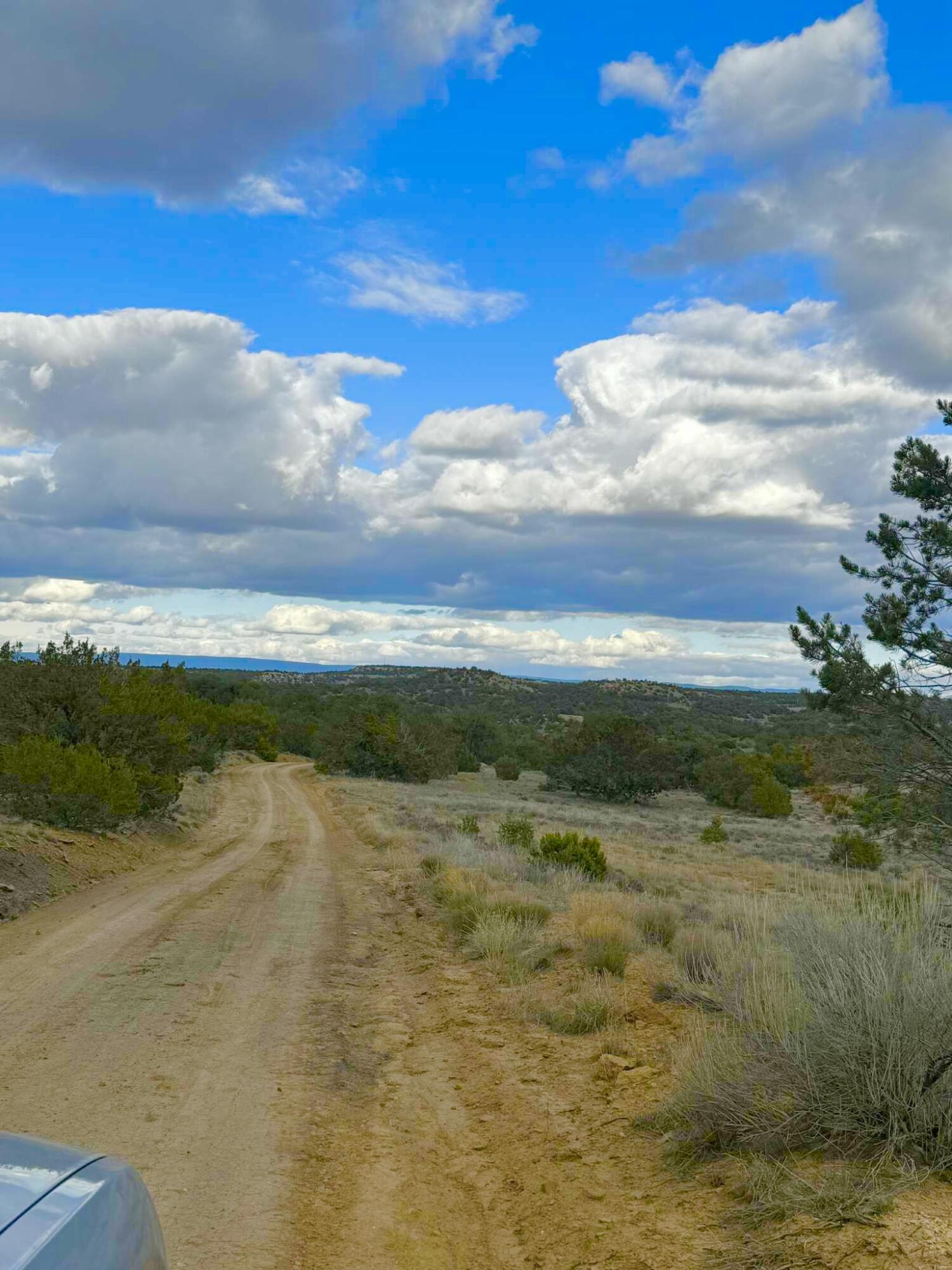 Photo 11 — 98 Great White Father Road