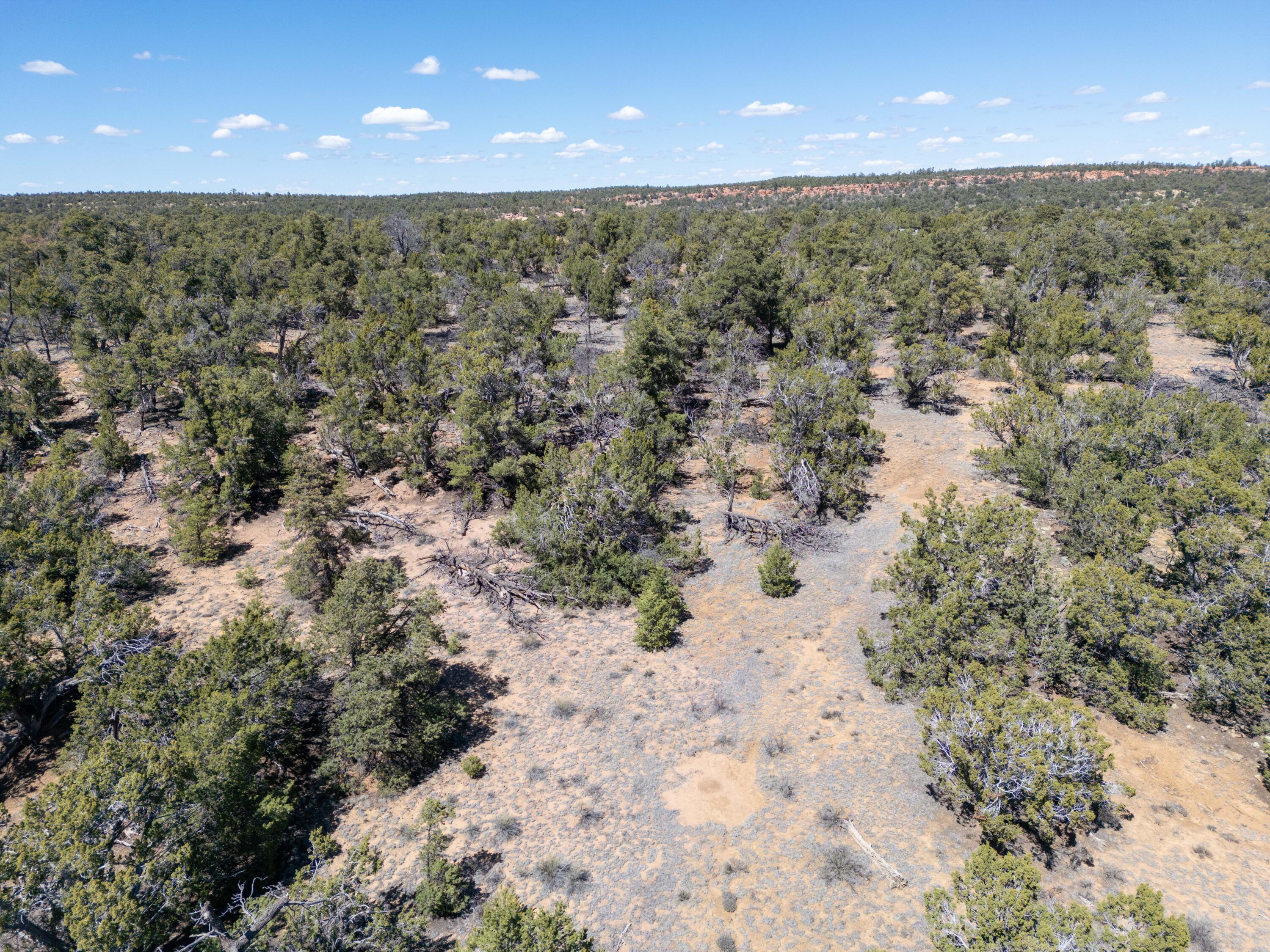 Photo 2 — 42 Jackrabbit Trail