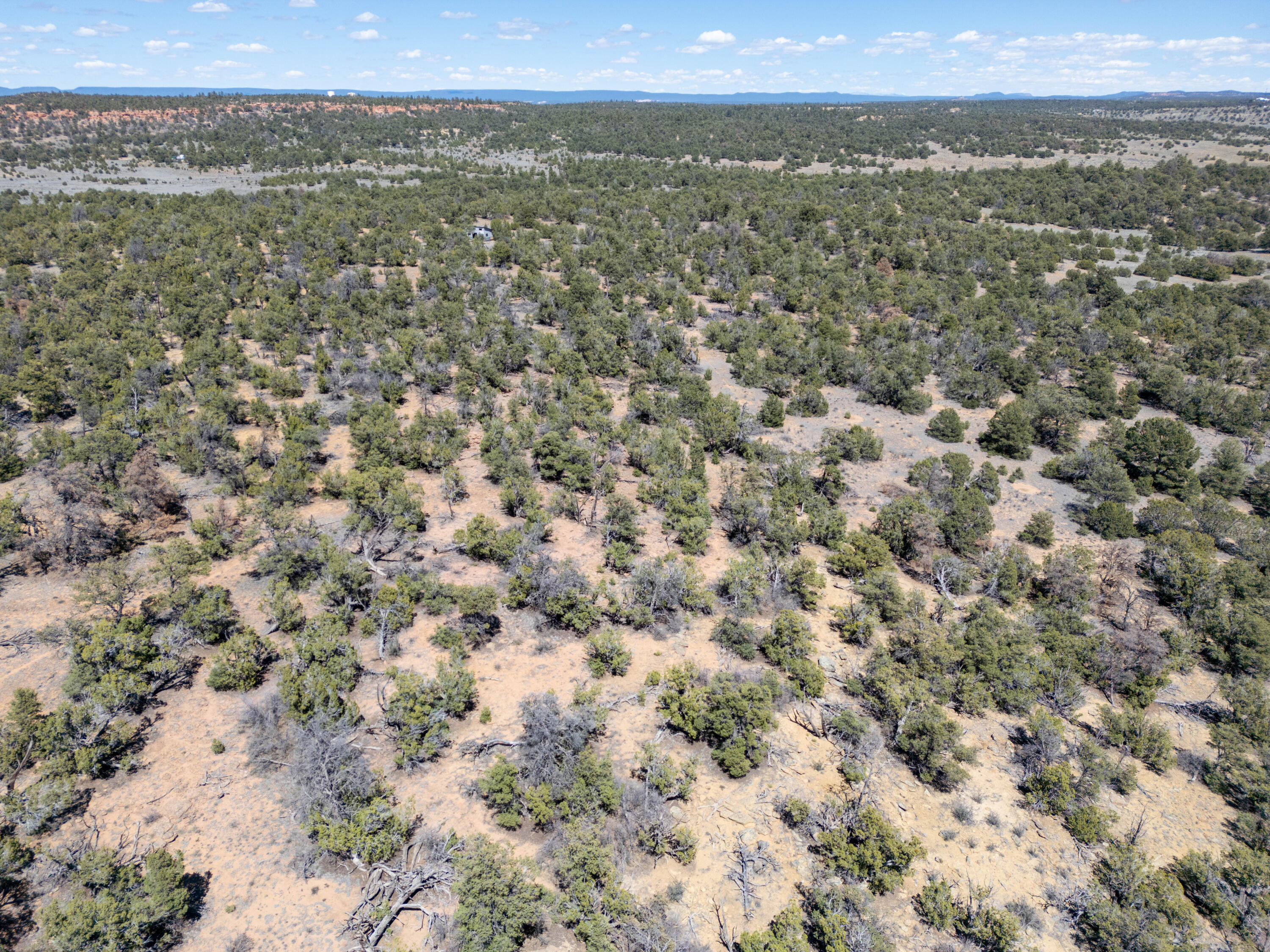Photo 3 — 42 Jackrabbit Trail