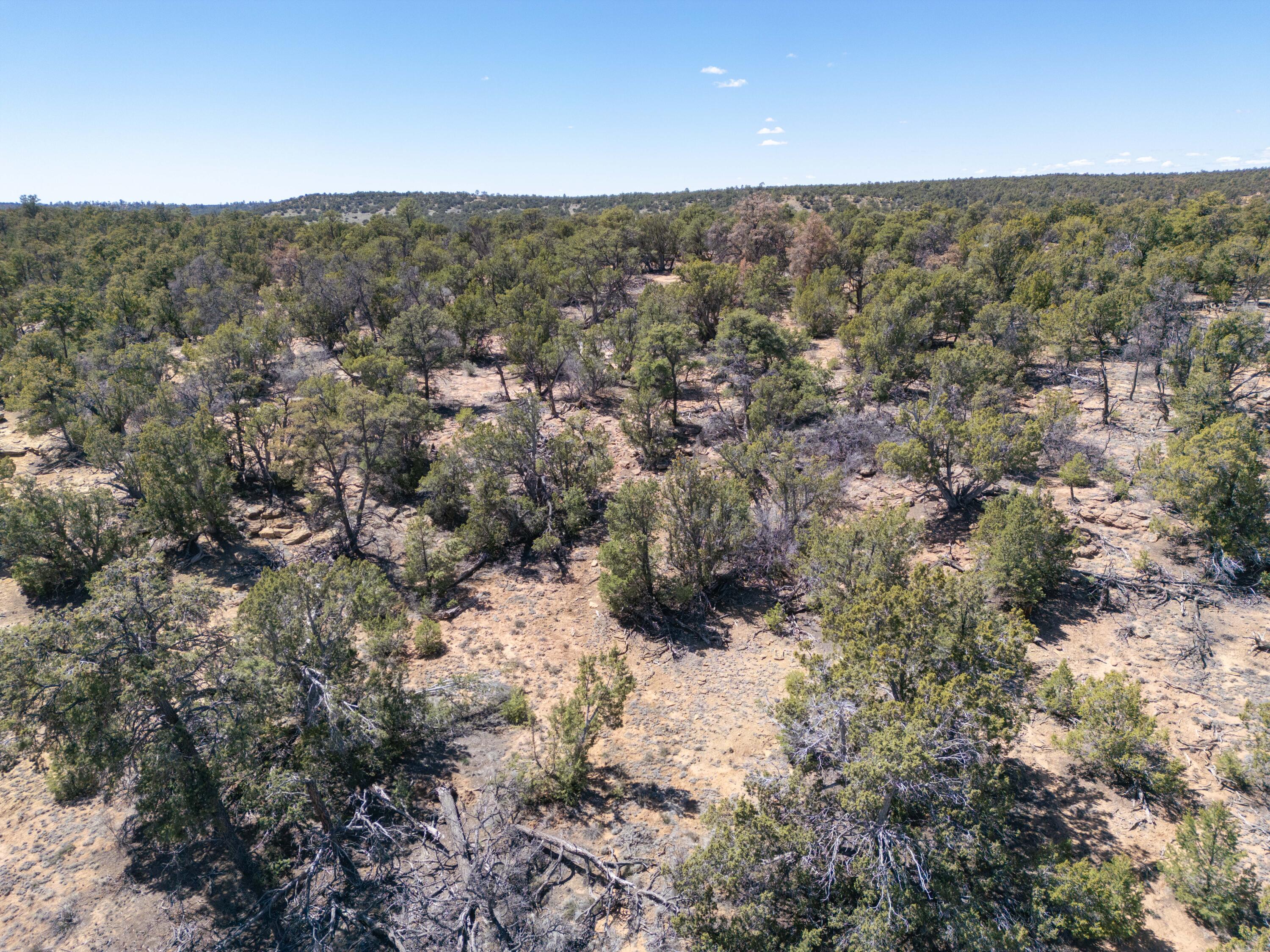 Photo 4 — 42 Jackrabbit Trail