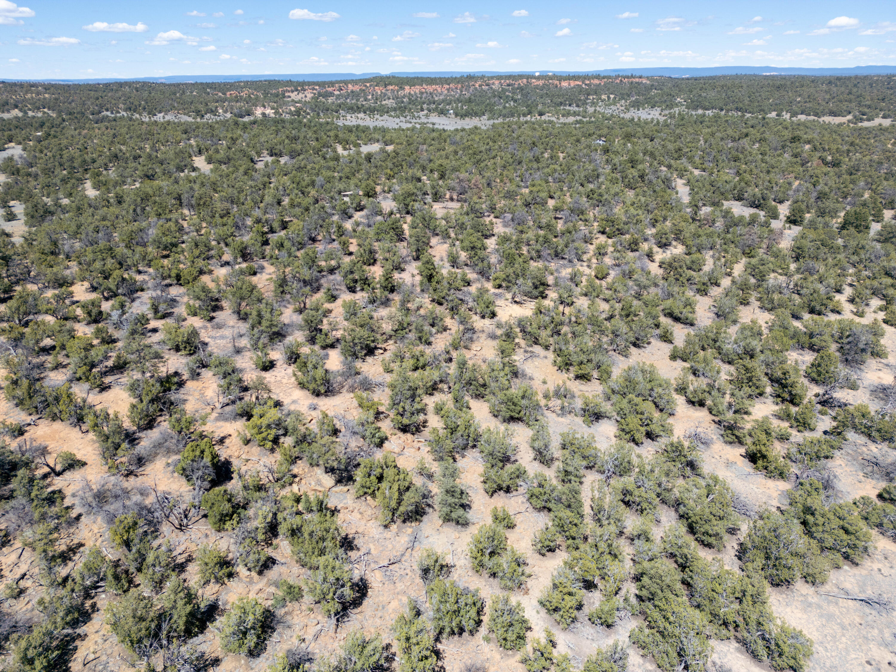 Photo 5 — 42 Jackrabbit Trail
