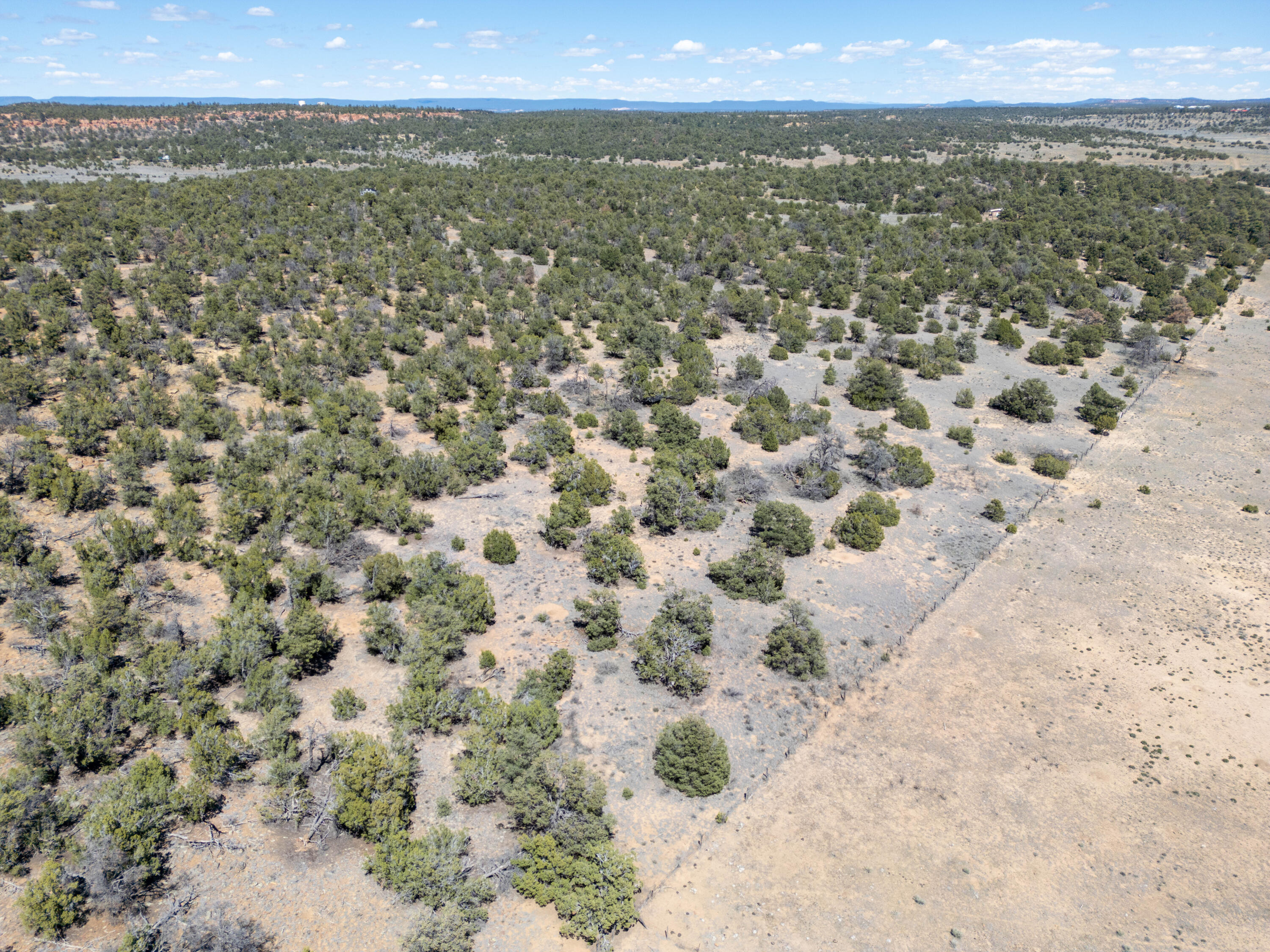Photo 7 — 42 Jackrabbit Trail