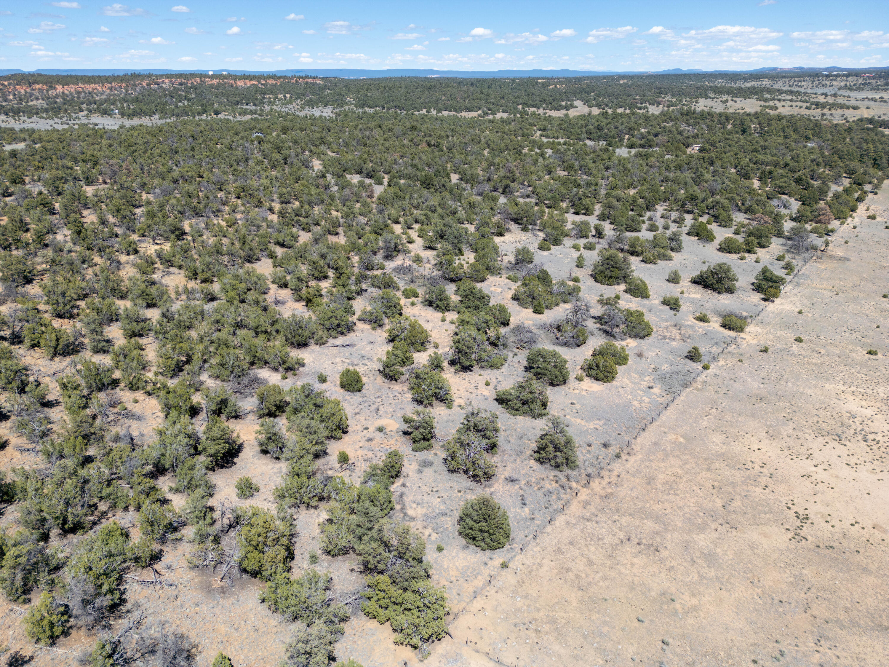 Photo 8 — 42 Jackrabbit Trail
