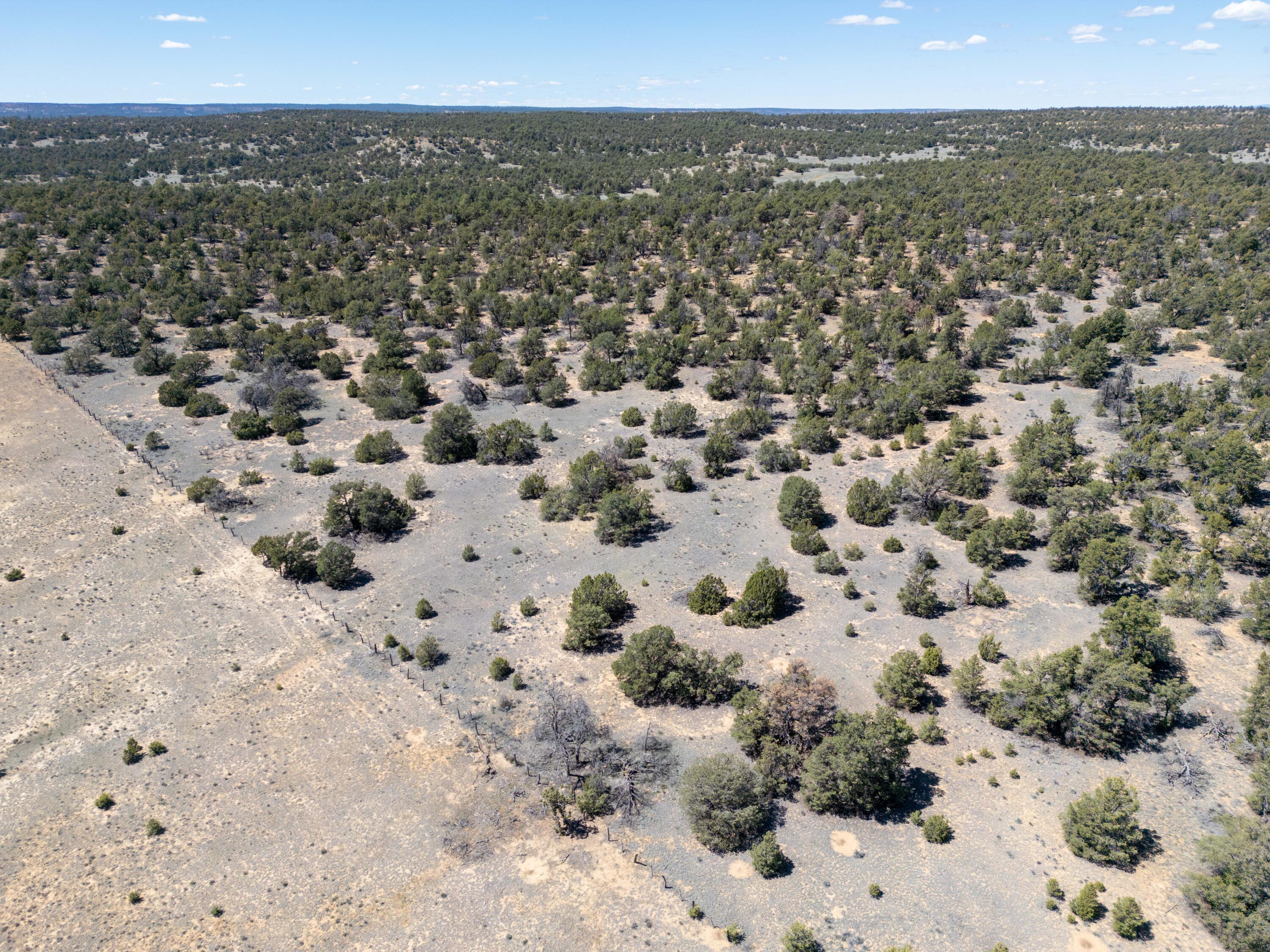 Photo 9 — 42 Jackrabbit Trail
