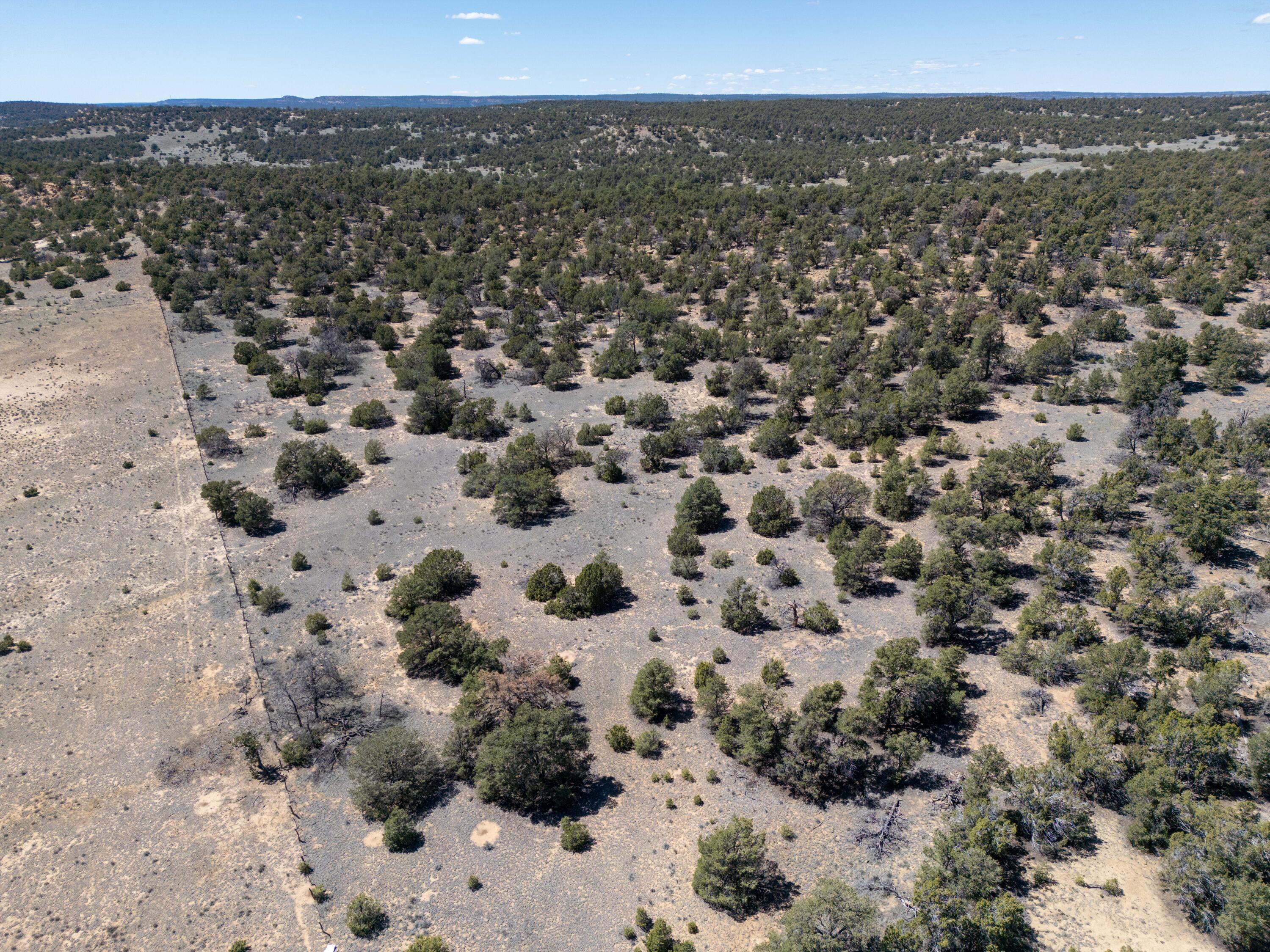 Photo 10 — 42 Jackrabbit Trail