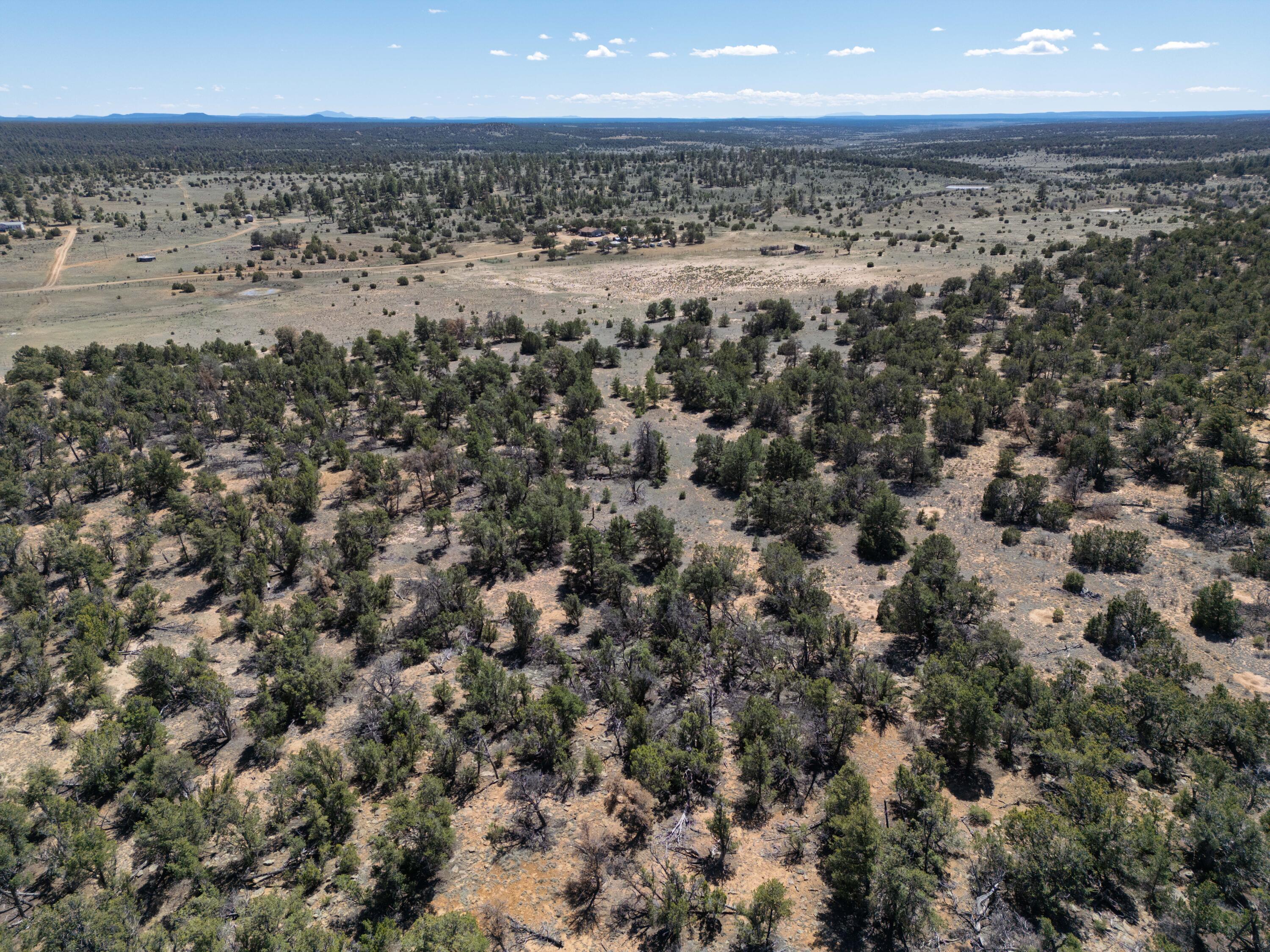 Photo 11 — 42 Jackrabbit Trail