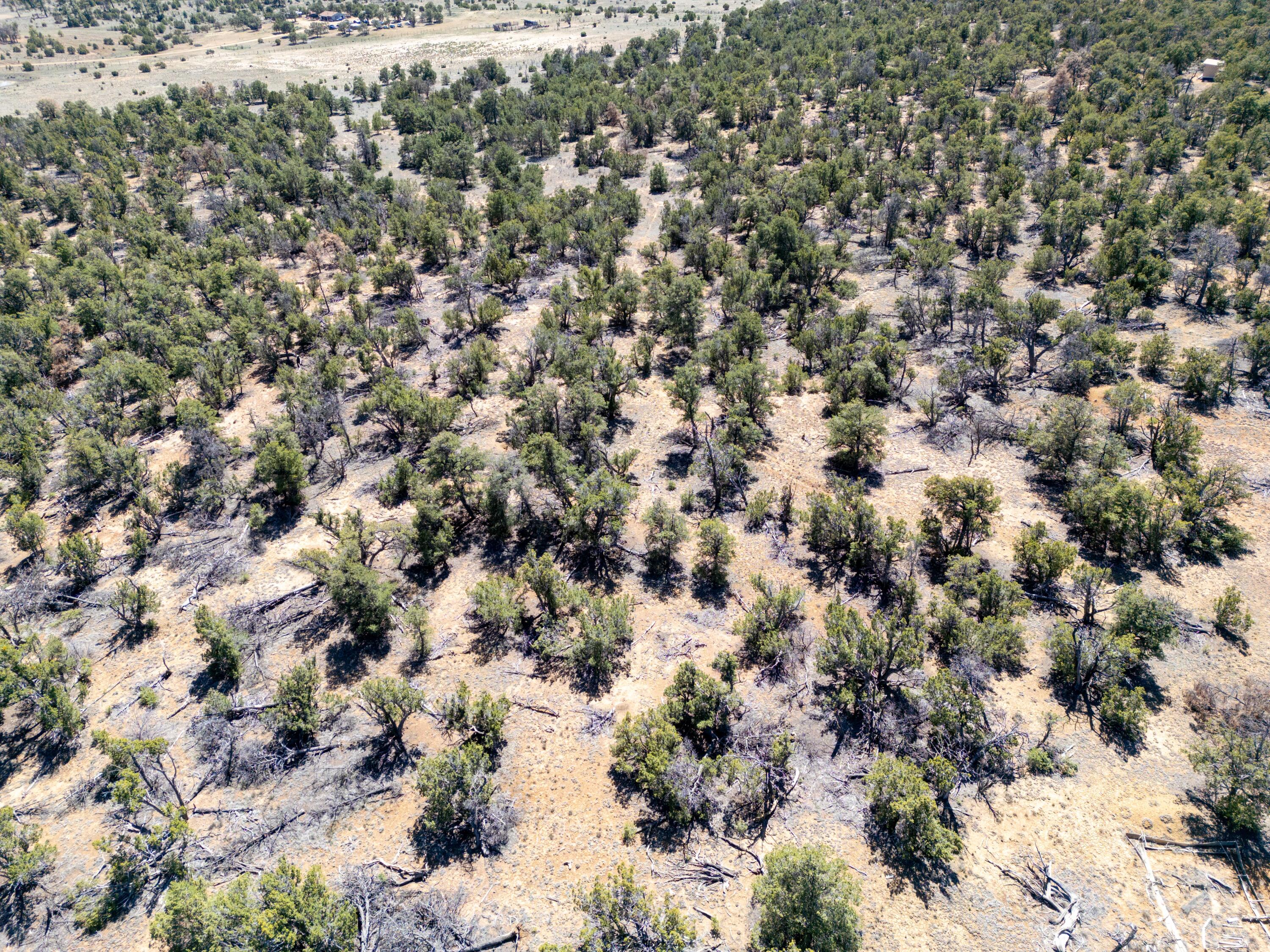 Photo 12 — 42 Jackrabbit Trail