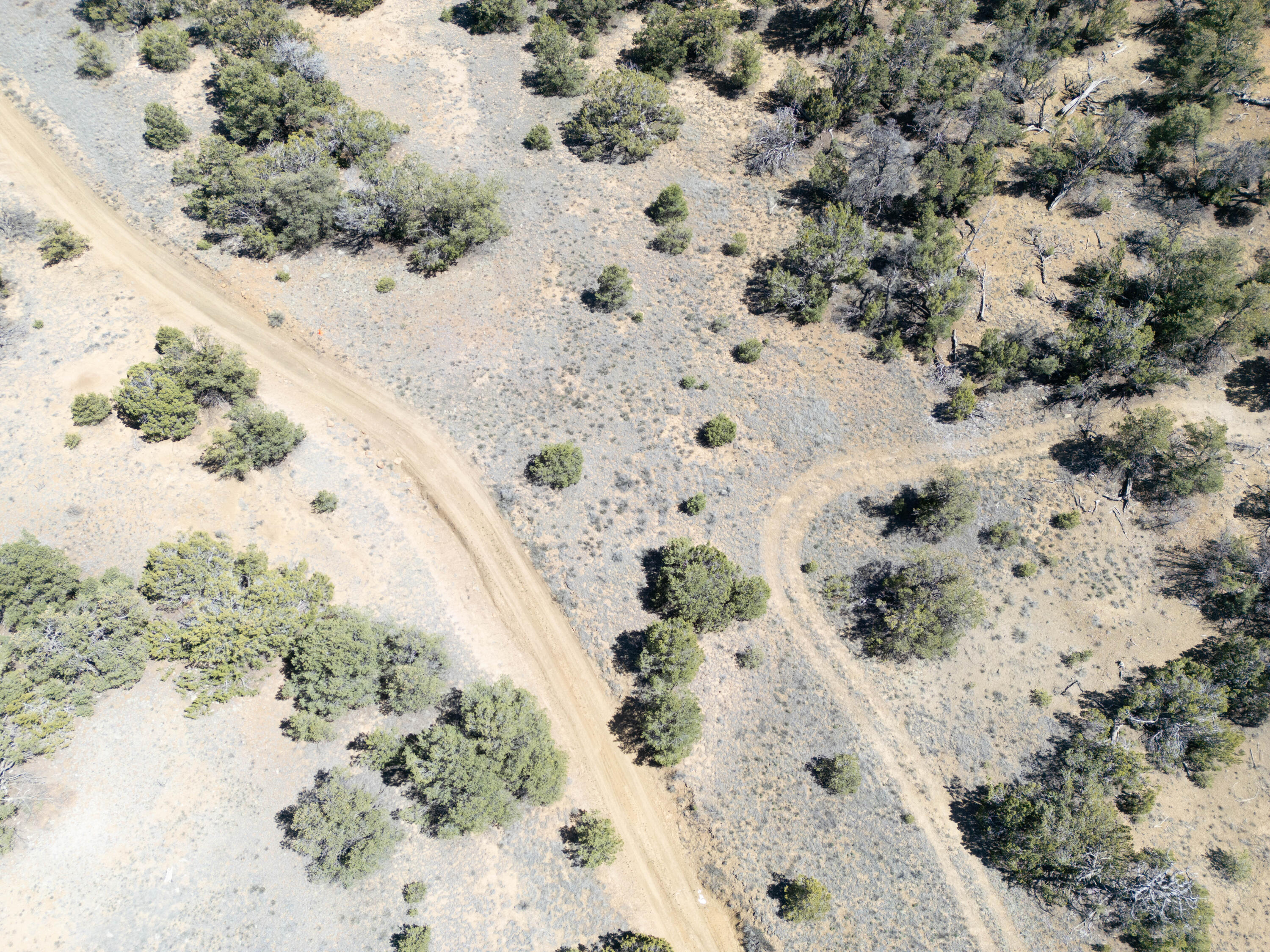 Photo 16 — 42 Jackrabbit Trail