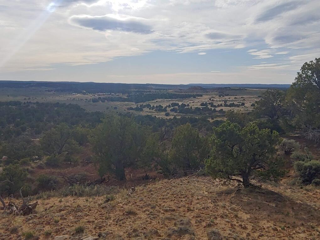  State Highway 595, Lindrith, NM 87029