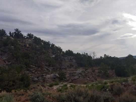 Photo 2 —  State Highway 595