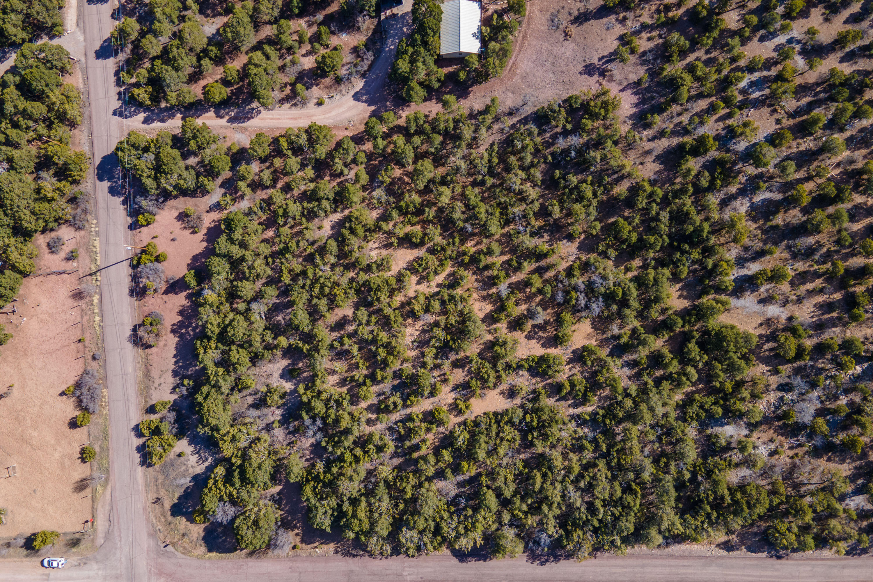 Photo 9 — 11 Camino De Avila