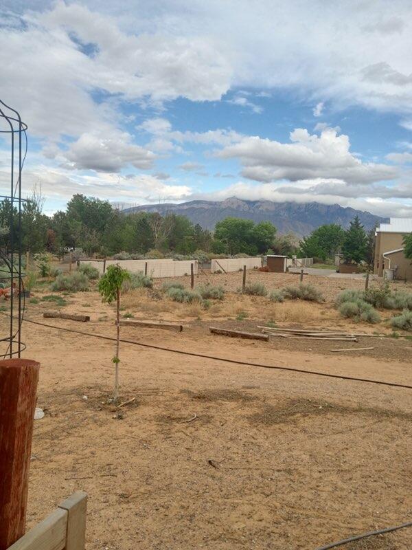 Photo 7 — 585 Angel Road