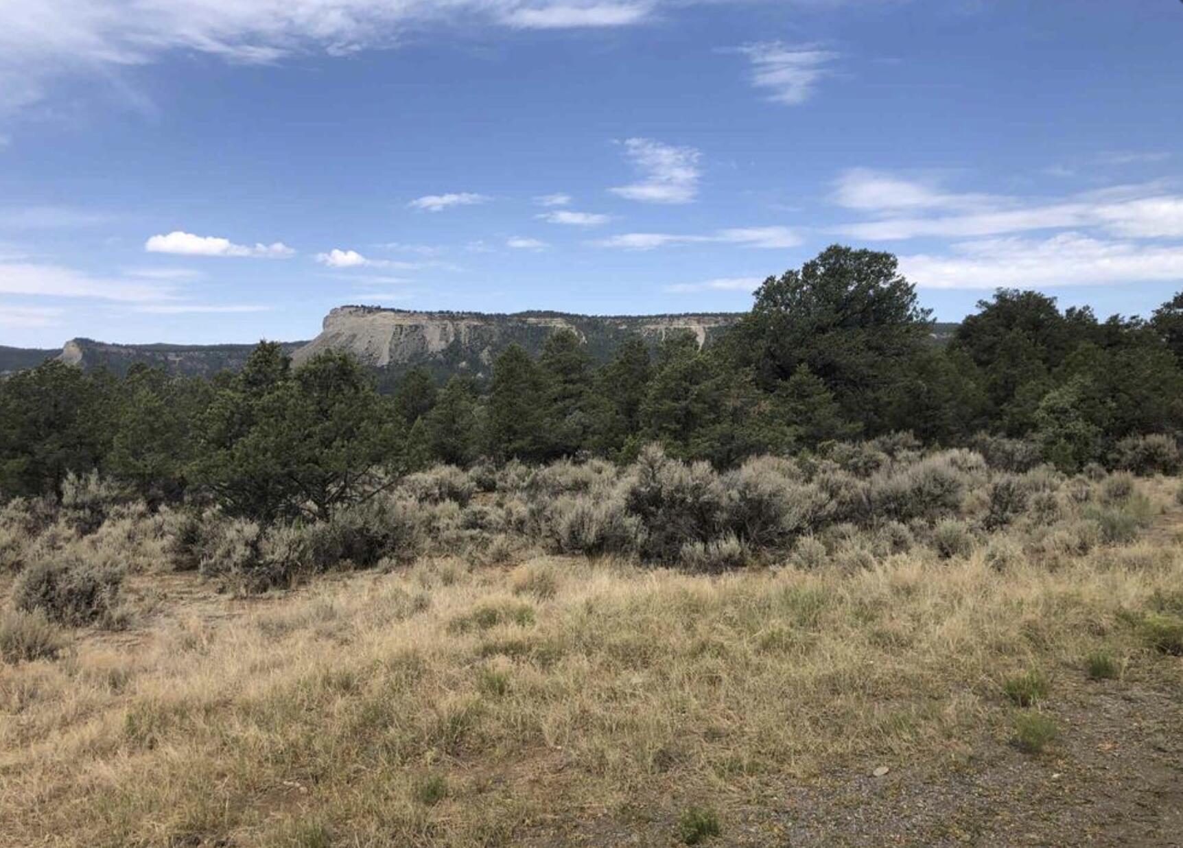S S Leaning Lot A, Tierra Amarilla, NM 87575