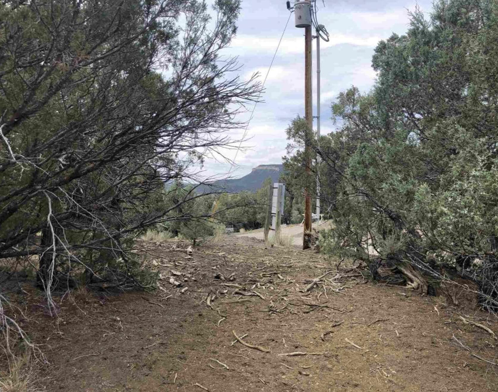 Photo 3 — S S Leaning Lot A