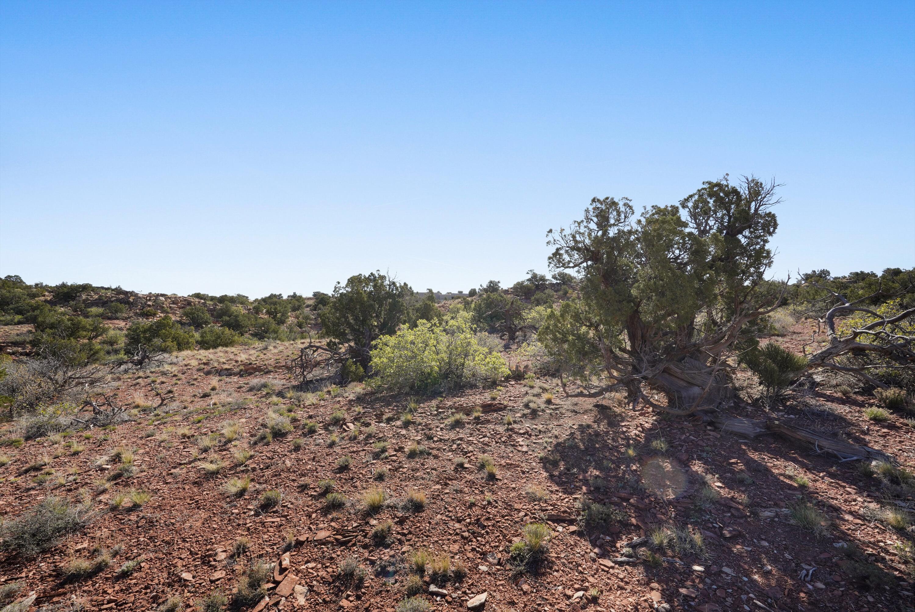 Photo 3 — 302 Moonlight Ridge Road