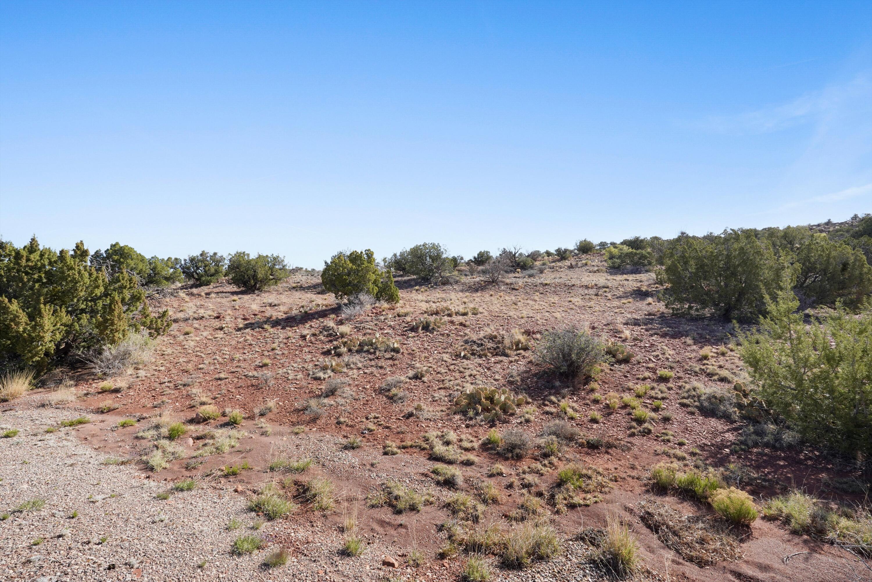 Photo 11 — 302 Moonlight Ridge Road