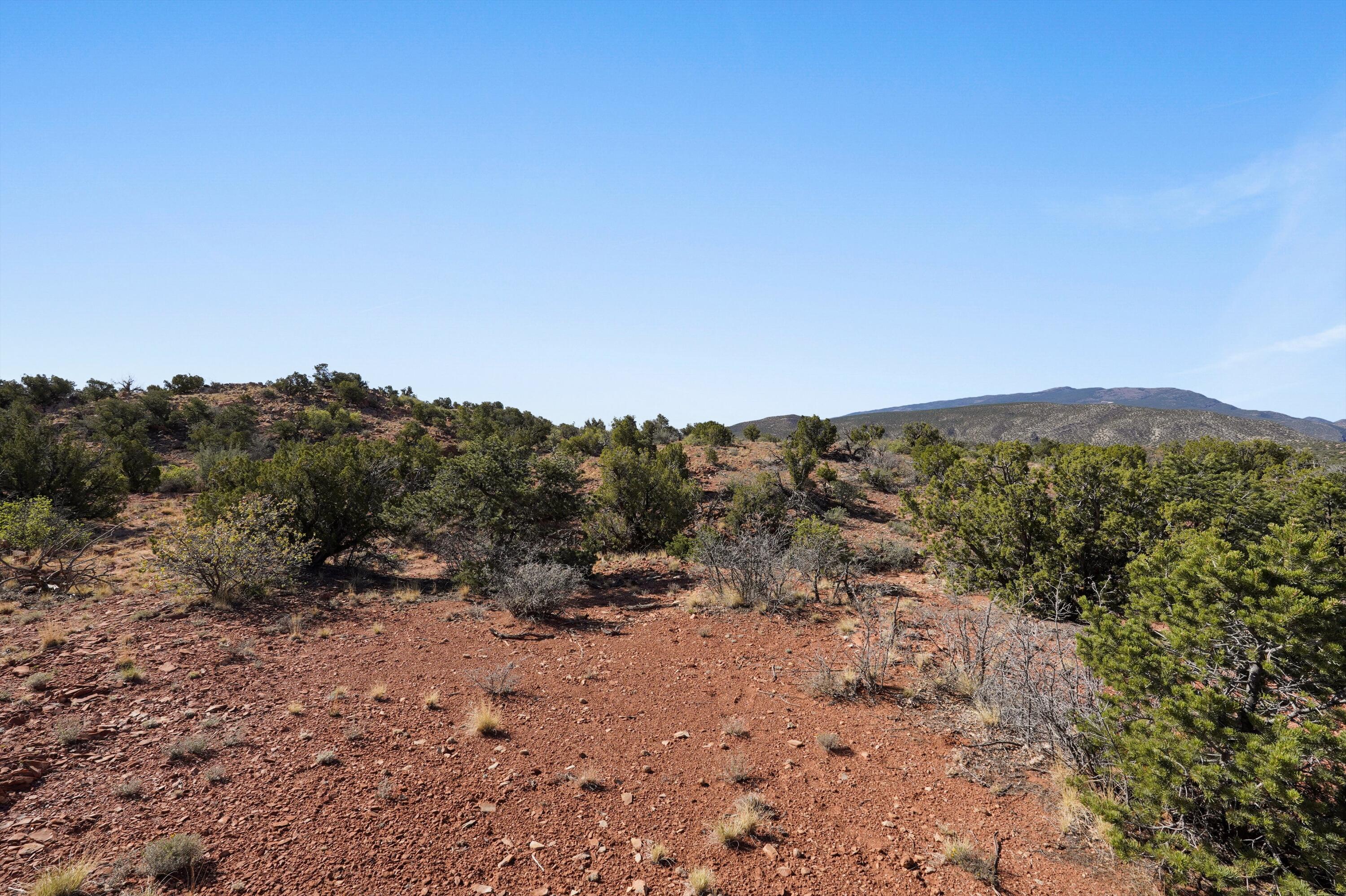 Photo 6 — 302 Moonlight Ridge Road