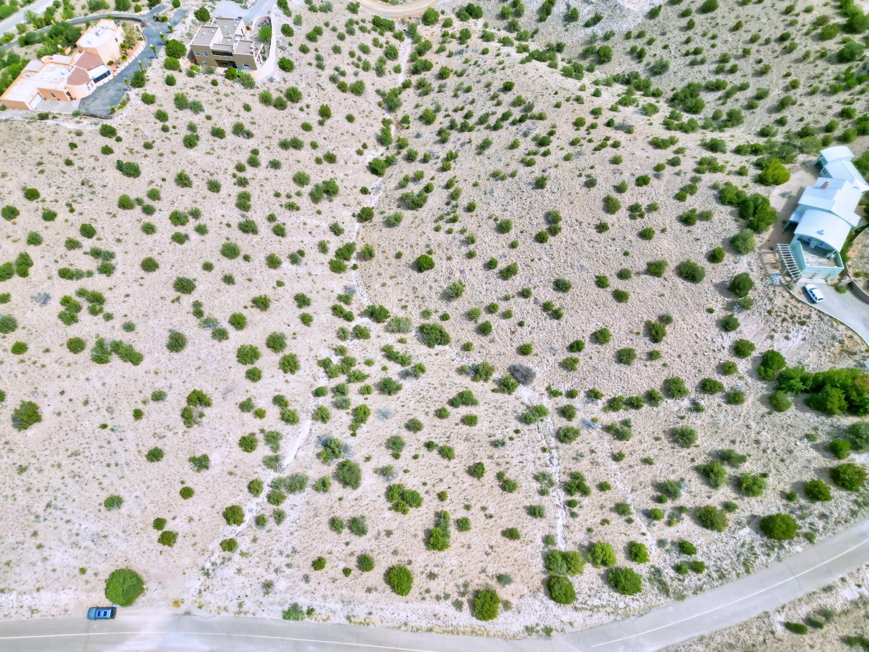 Photo 10 —  3.98 Acres on Camino Alto