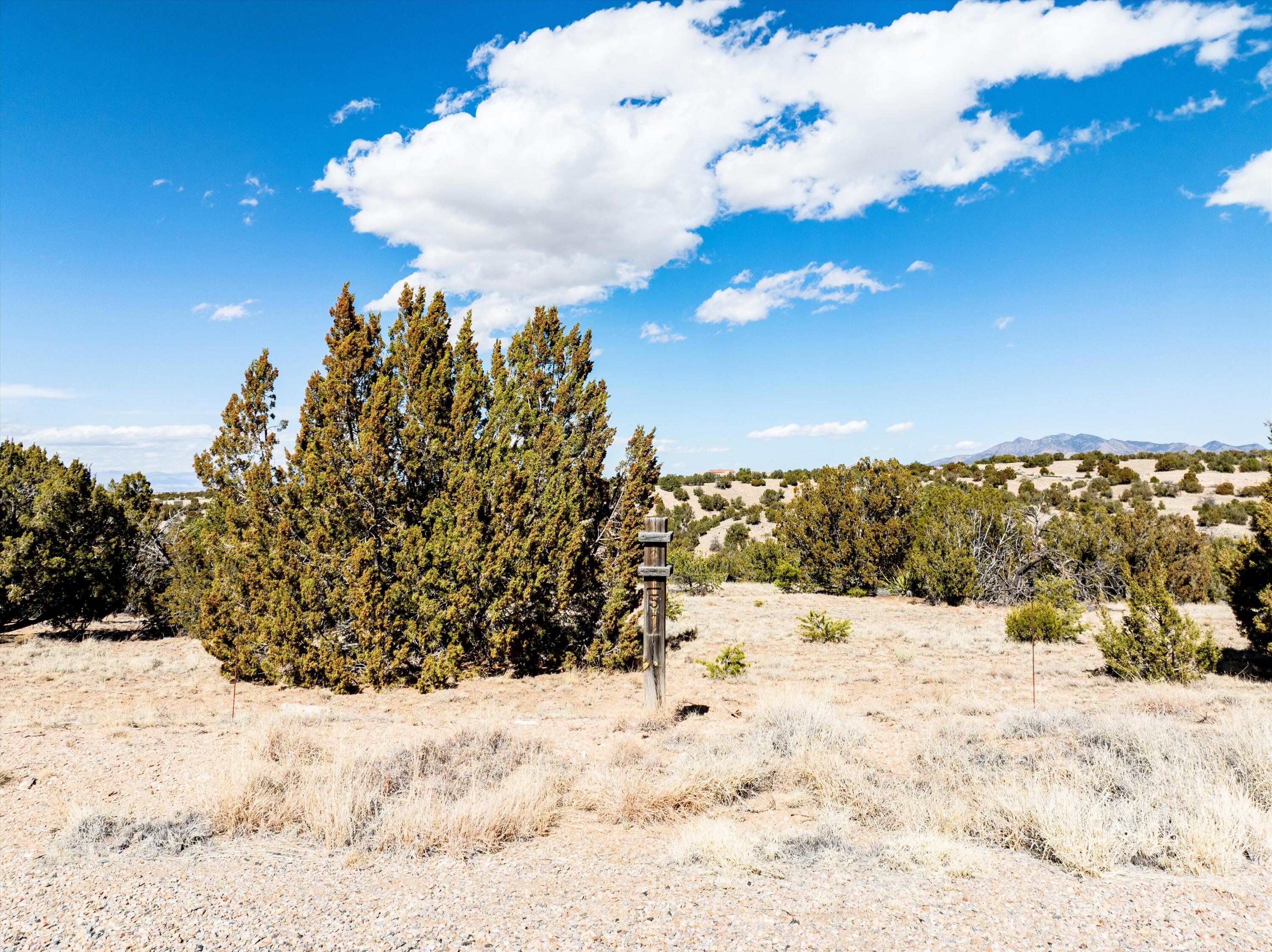 Photo 3 — 51 Old Rail Pass