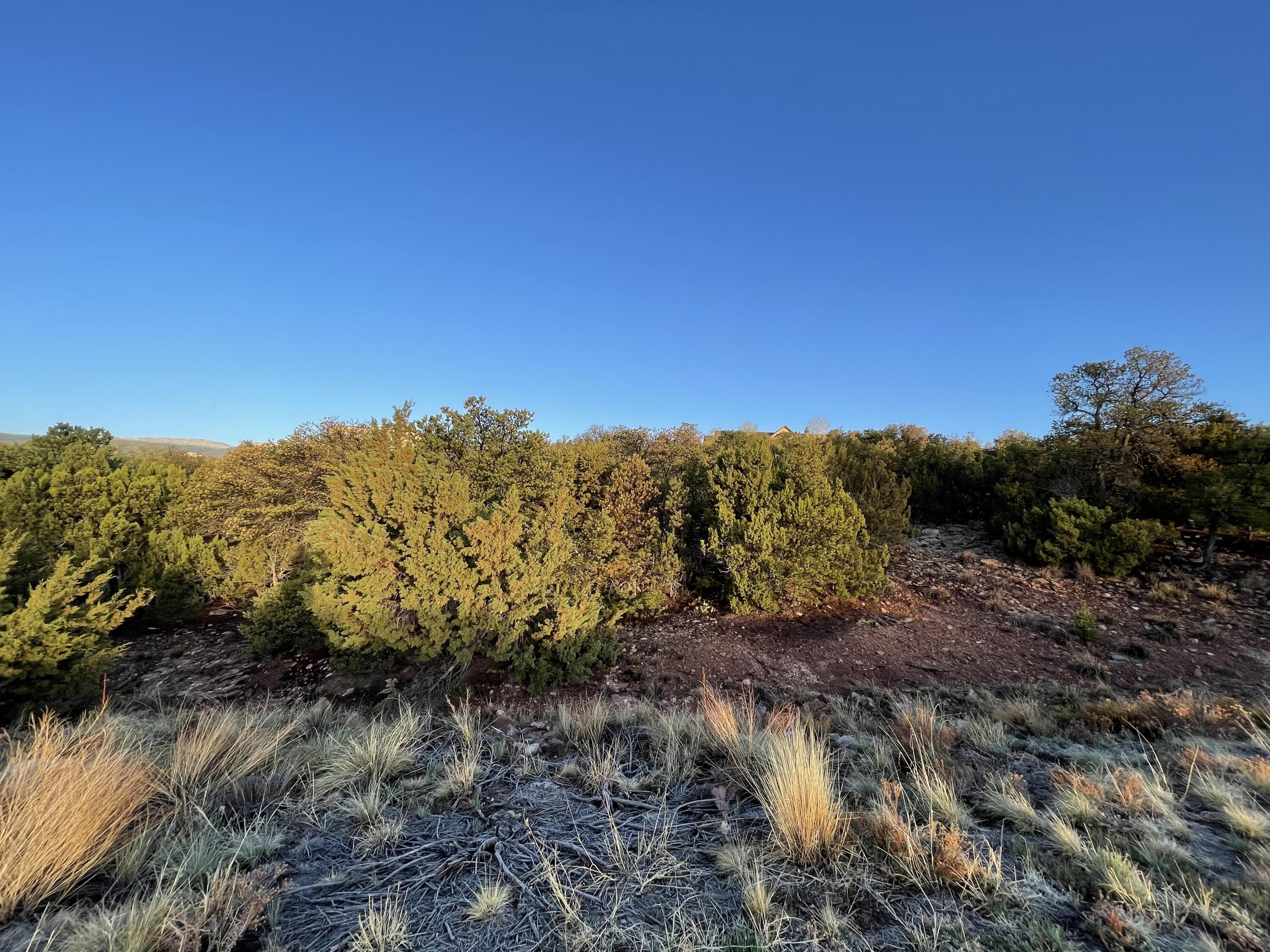 Photo 4 — 15 Tigua Drive