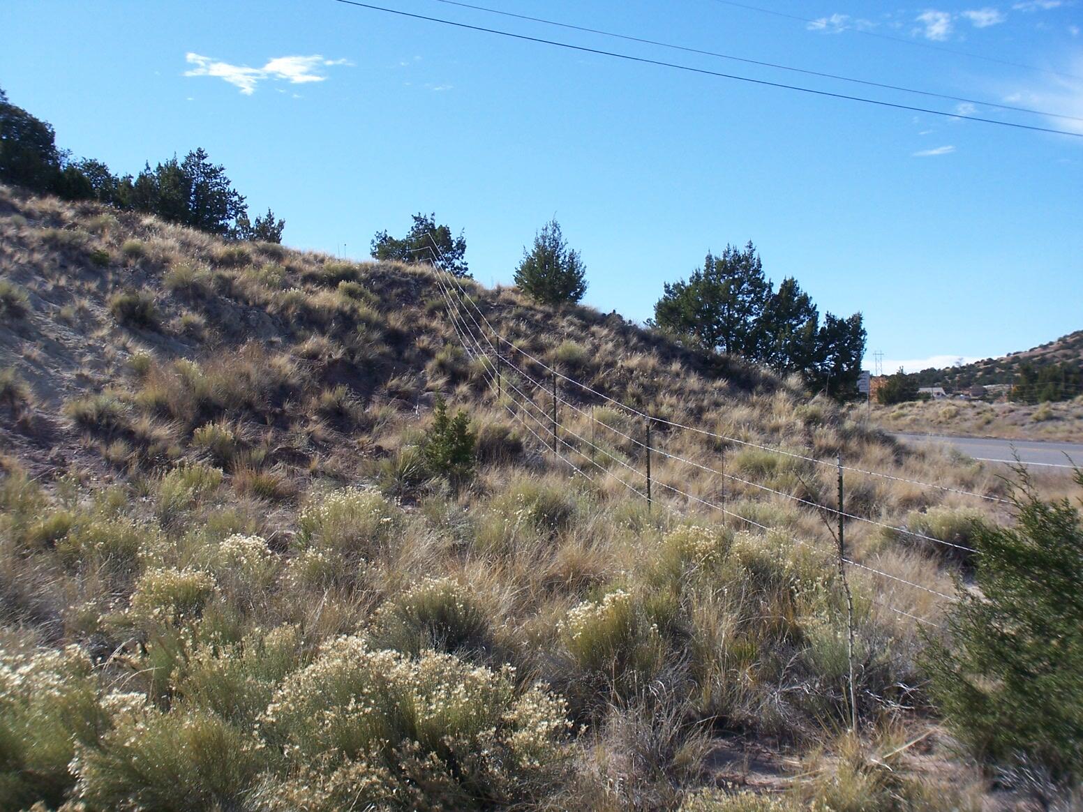 Photo 5 — 574 STATE HIGHWAY 165