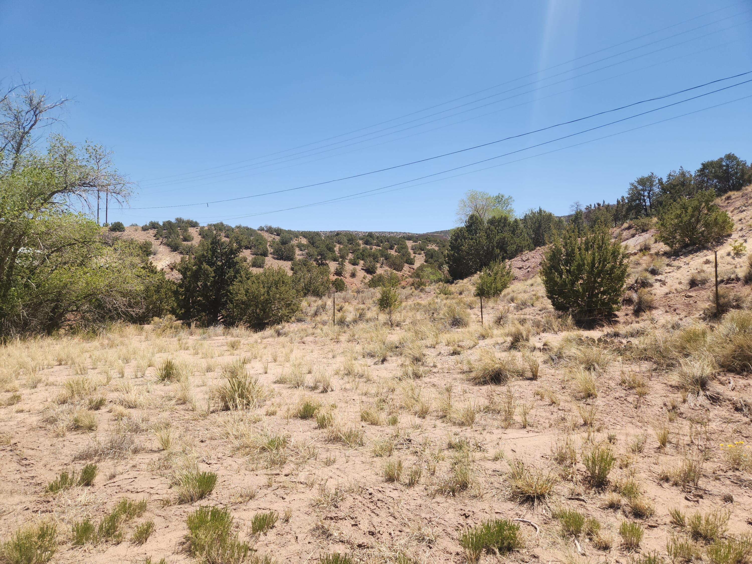 Photo 12 — 574 STATE HIGHWAY 165