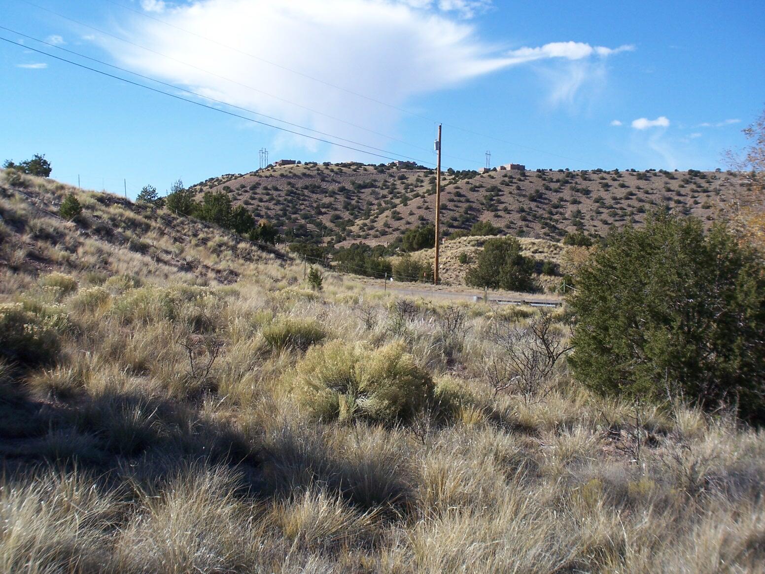 Photo 17 — 574 STATE HIGHWAY 165