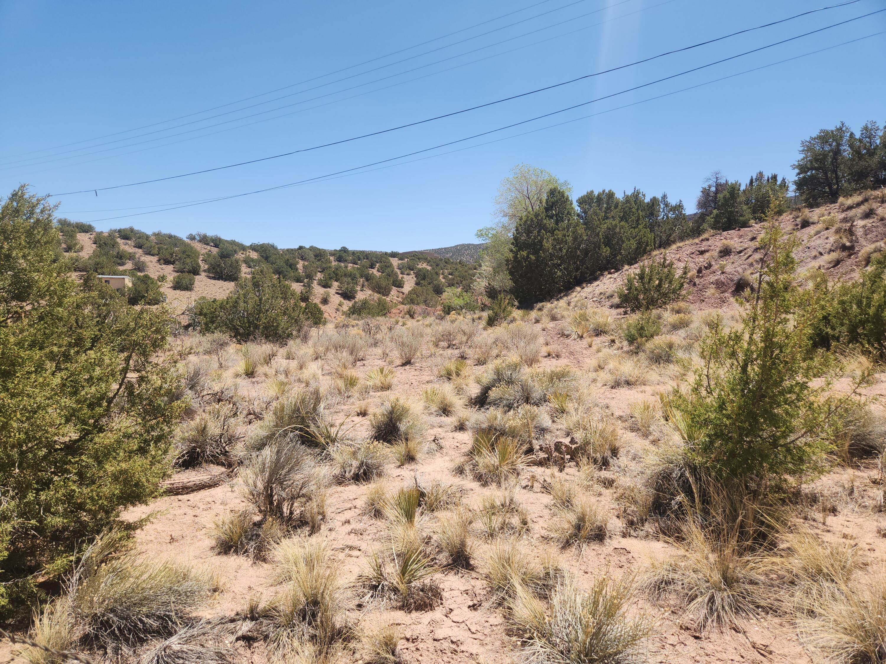 Photo 19 — 574 STATE HIGHWAY 165