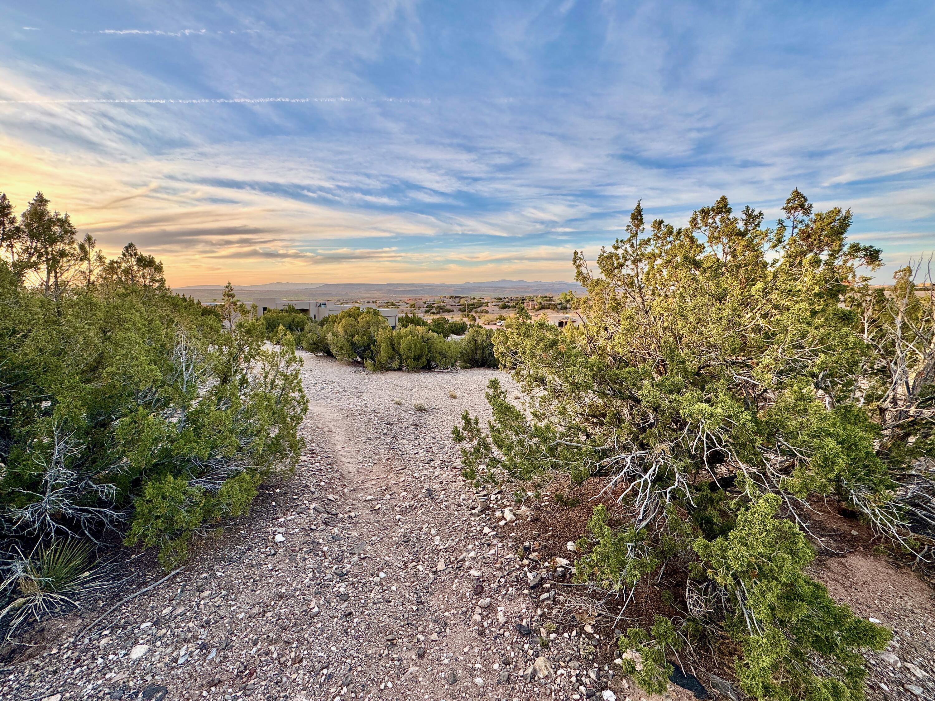 Photo 19 —  SUBD: DESERT MOUNTAIN LOT: 38A