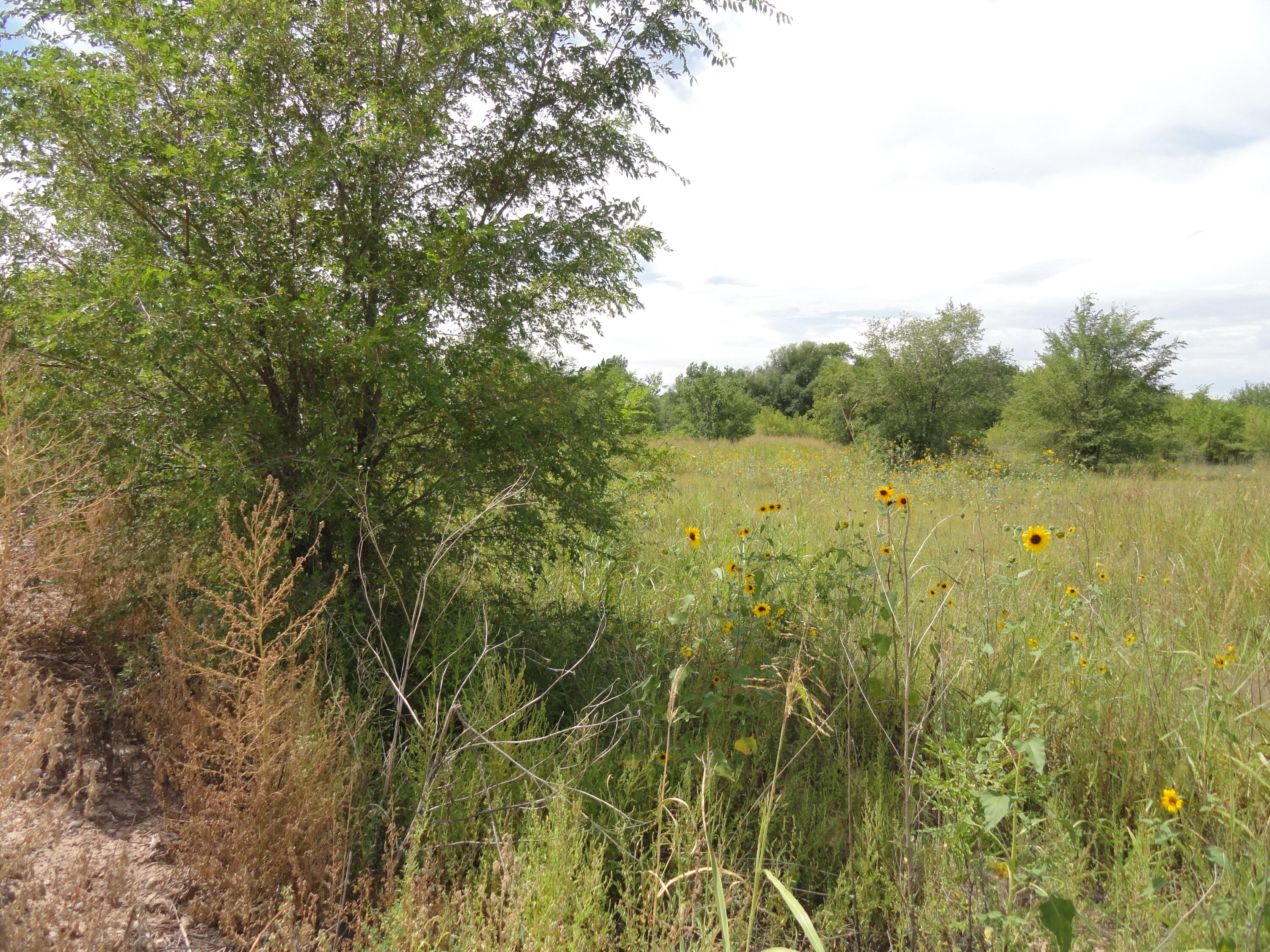  Molina Road, Peralta, NM 87042
