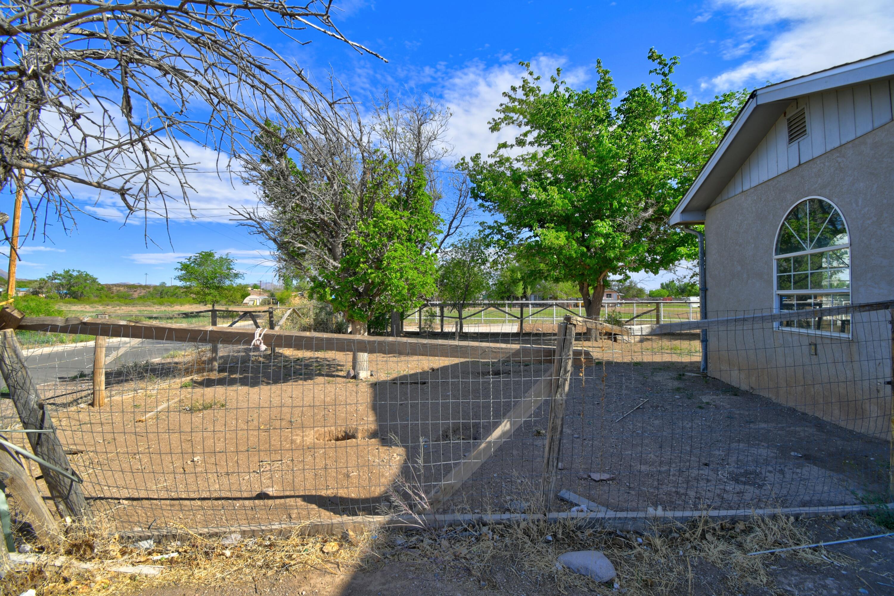 Photo 18 — 1206 Cuba Road