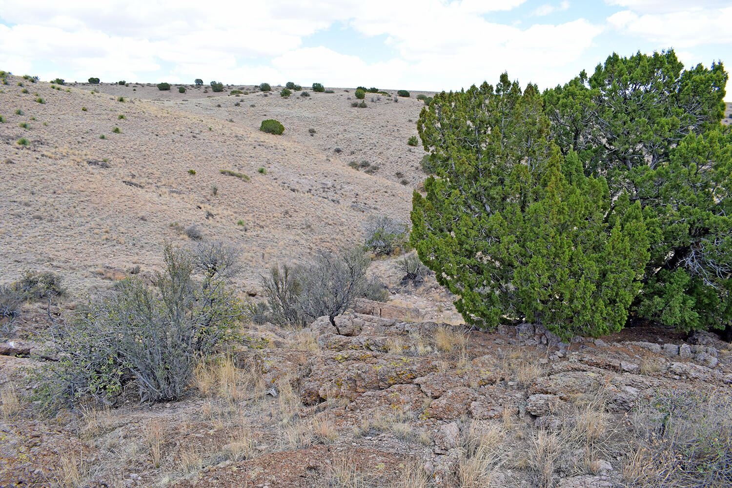 Photo 3 — Lot 7 Painted Horse Road