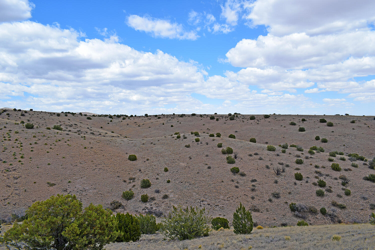 Photo 7 — Lot 7 Painted Horse Road