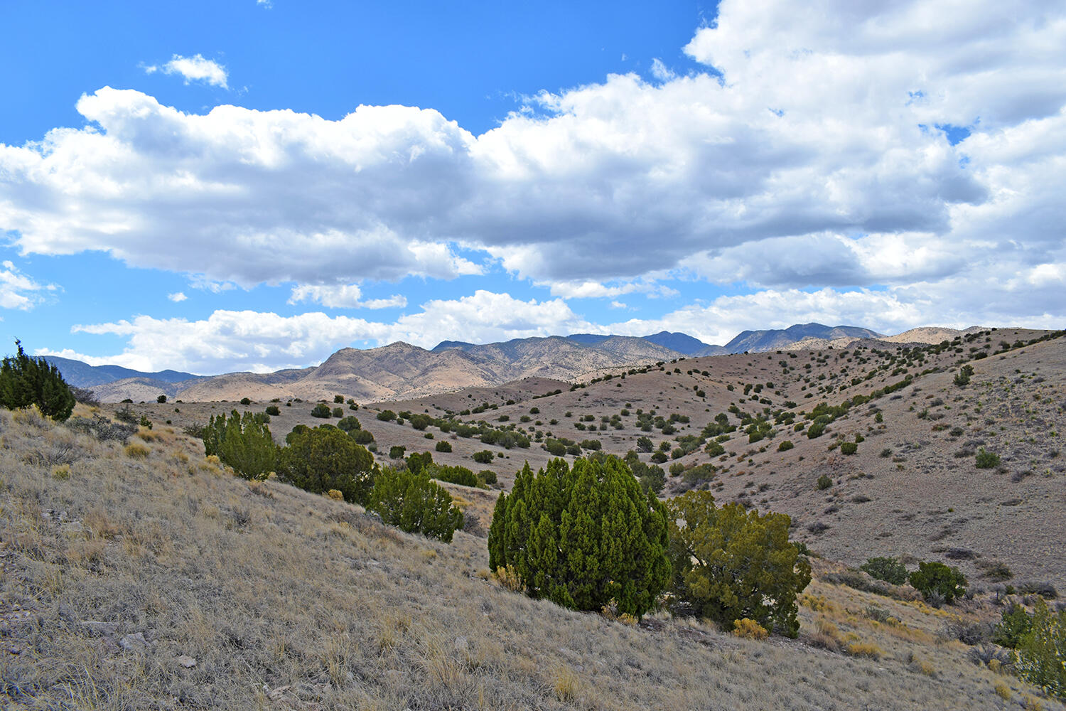 Photo 8 — Lot 7 Painted Horse Road