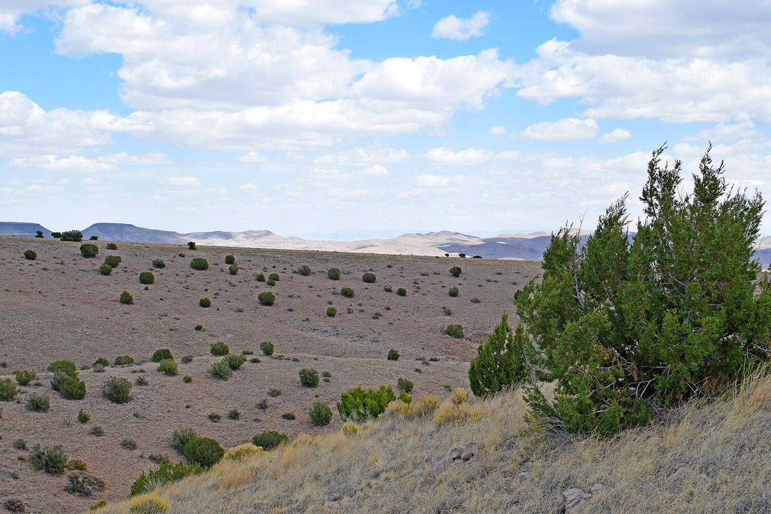 Photo 9 — Lot 7 Painted Horse Road