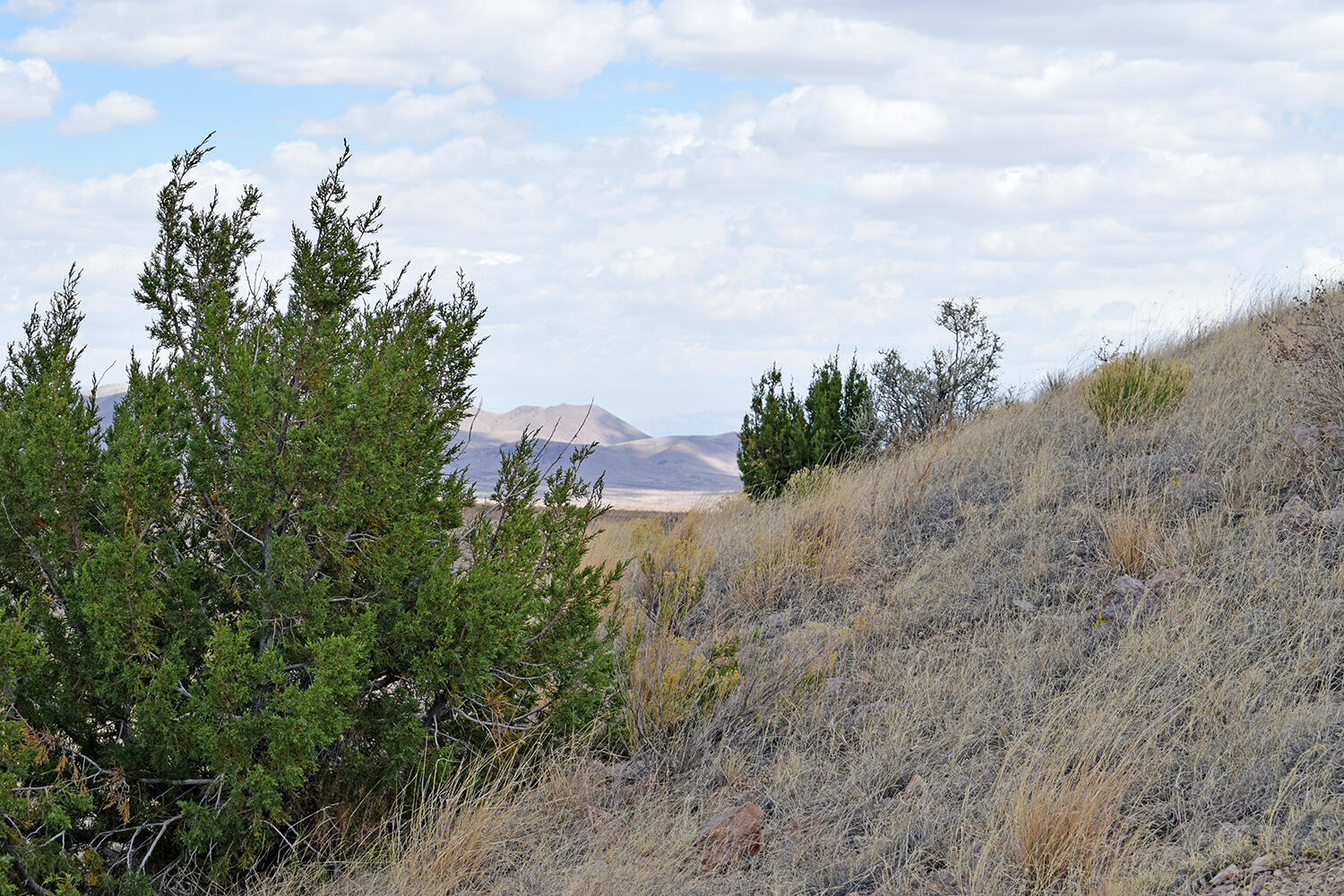Photo 10 — Lot 7 Painted Horse Road