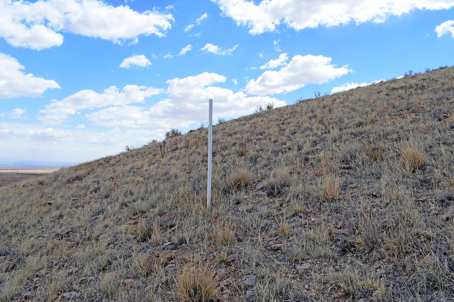 Photo 12 — Lot 7 Painted Horse Road