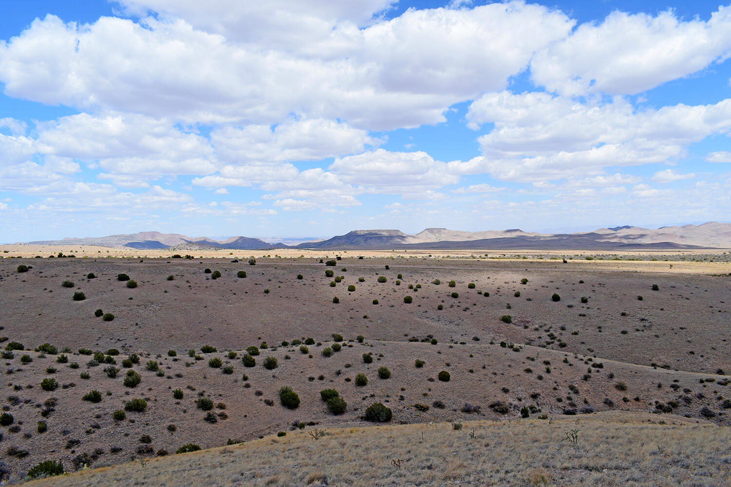 Photo 13 — Lot 7 Painted Horse Road