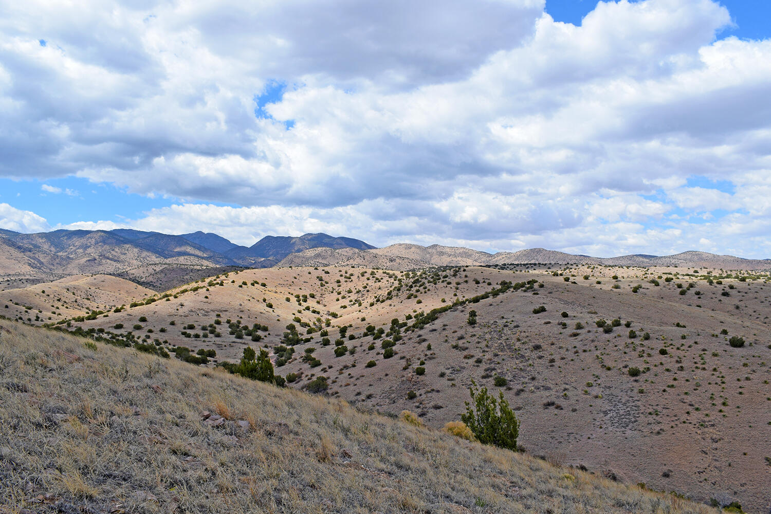 Photo 14 — Lot 7 Painted Horse Road