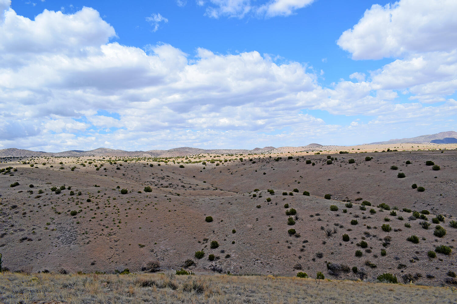 Photo 15 — Lot 7 Painted Horse Road