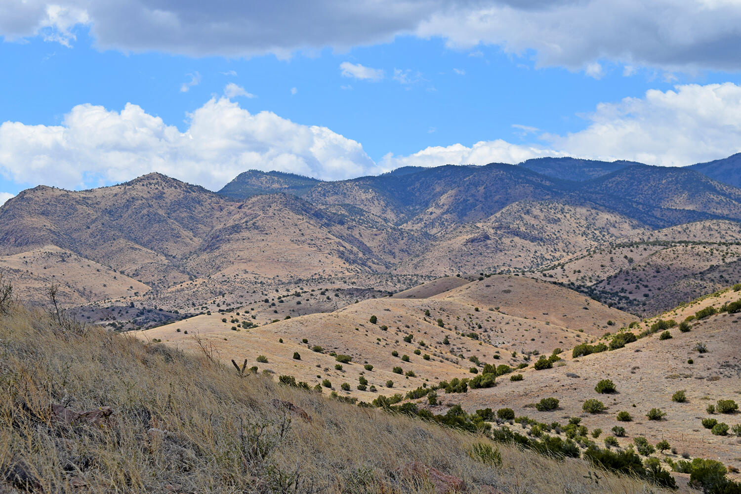 Photo 16 — Lot 7 Painted Horse Road