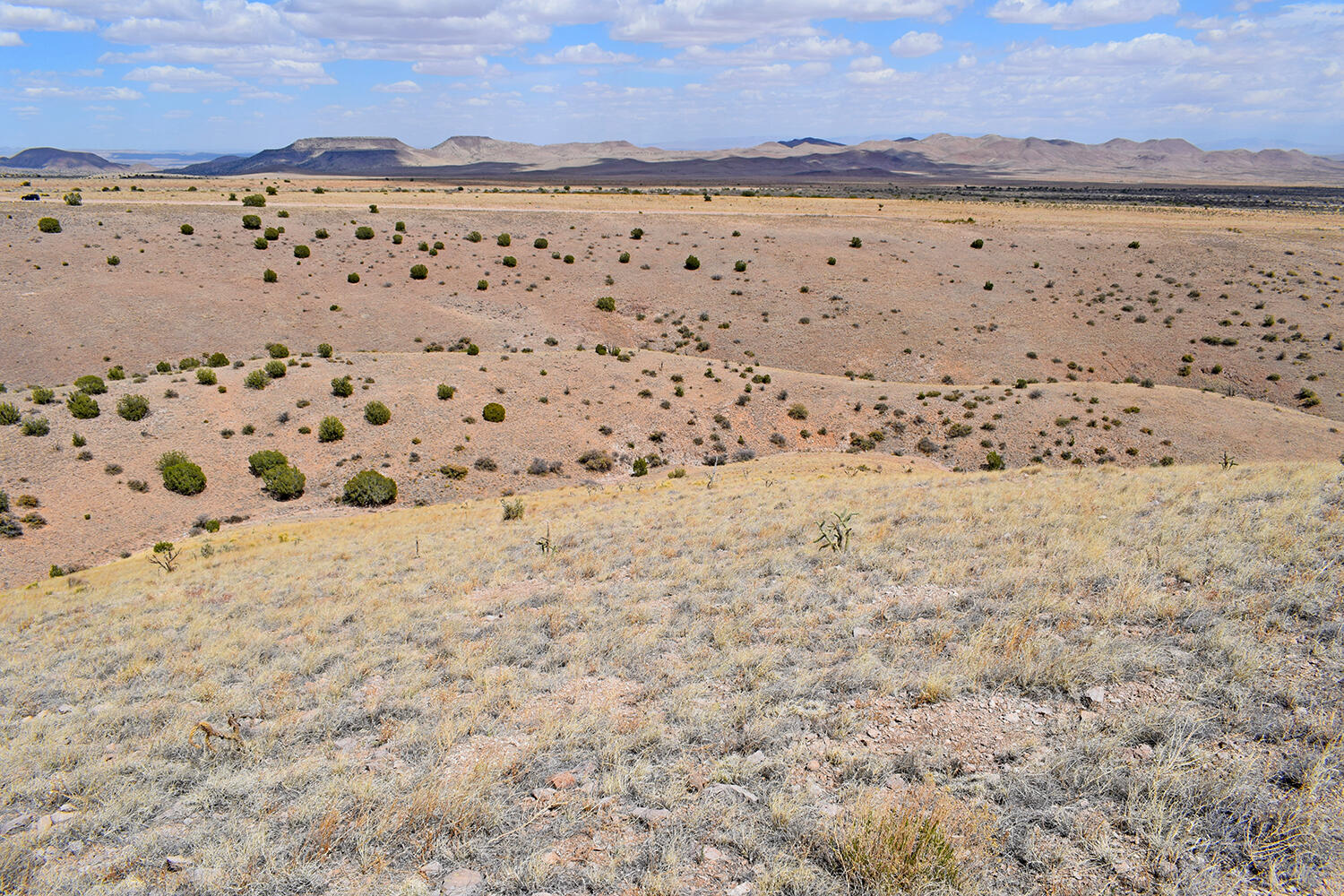 Photo 19 — Lot 7 Painted Horse Road