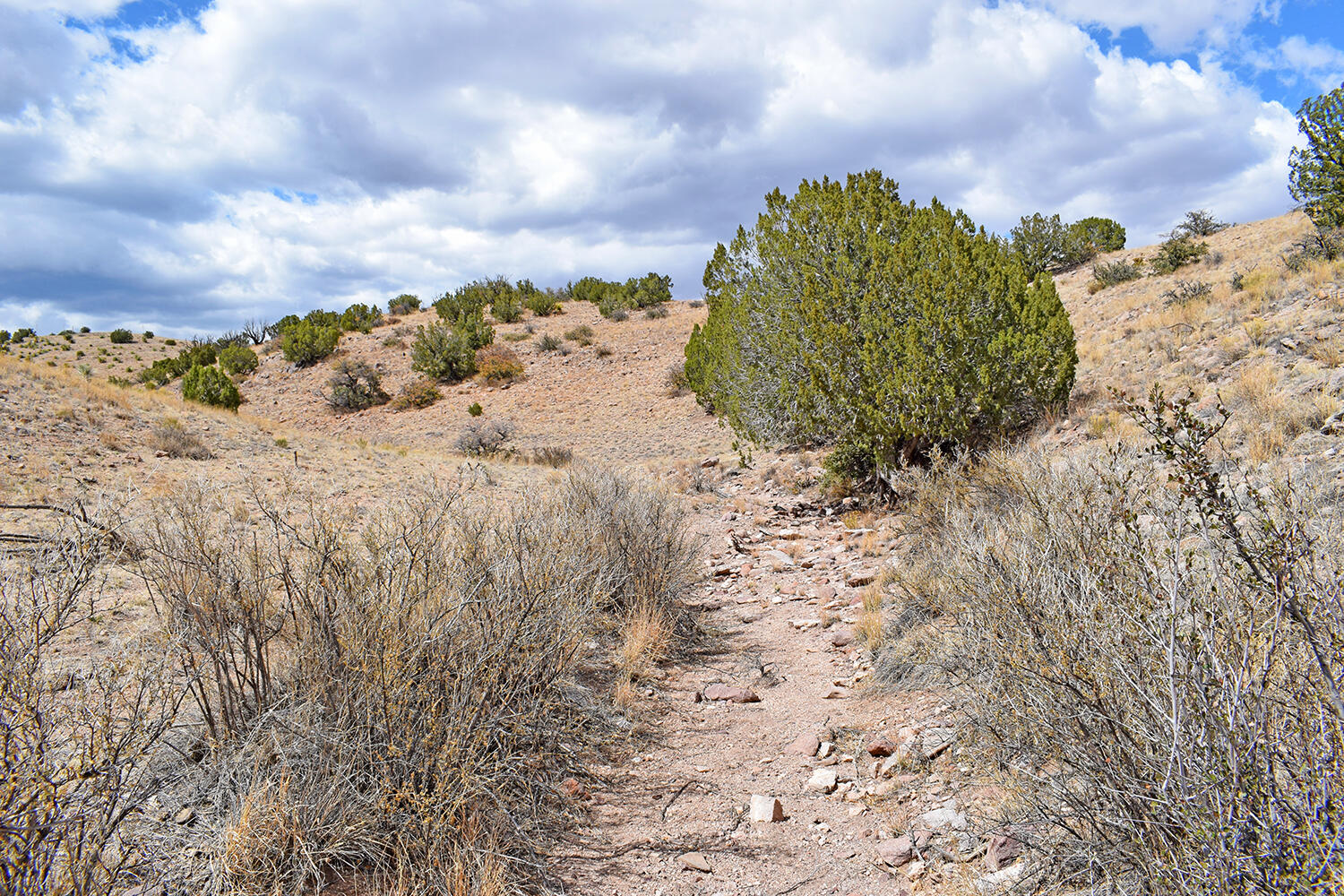 Photo 20 — Lot 7 Painted Horse Road