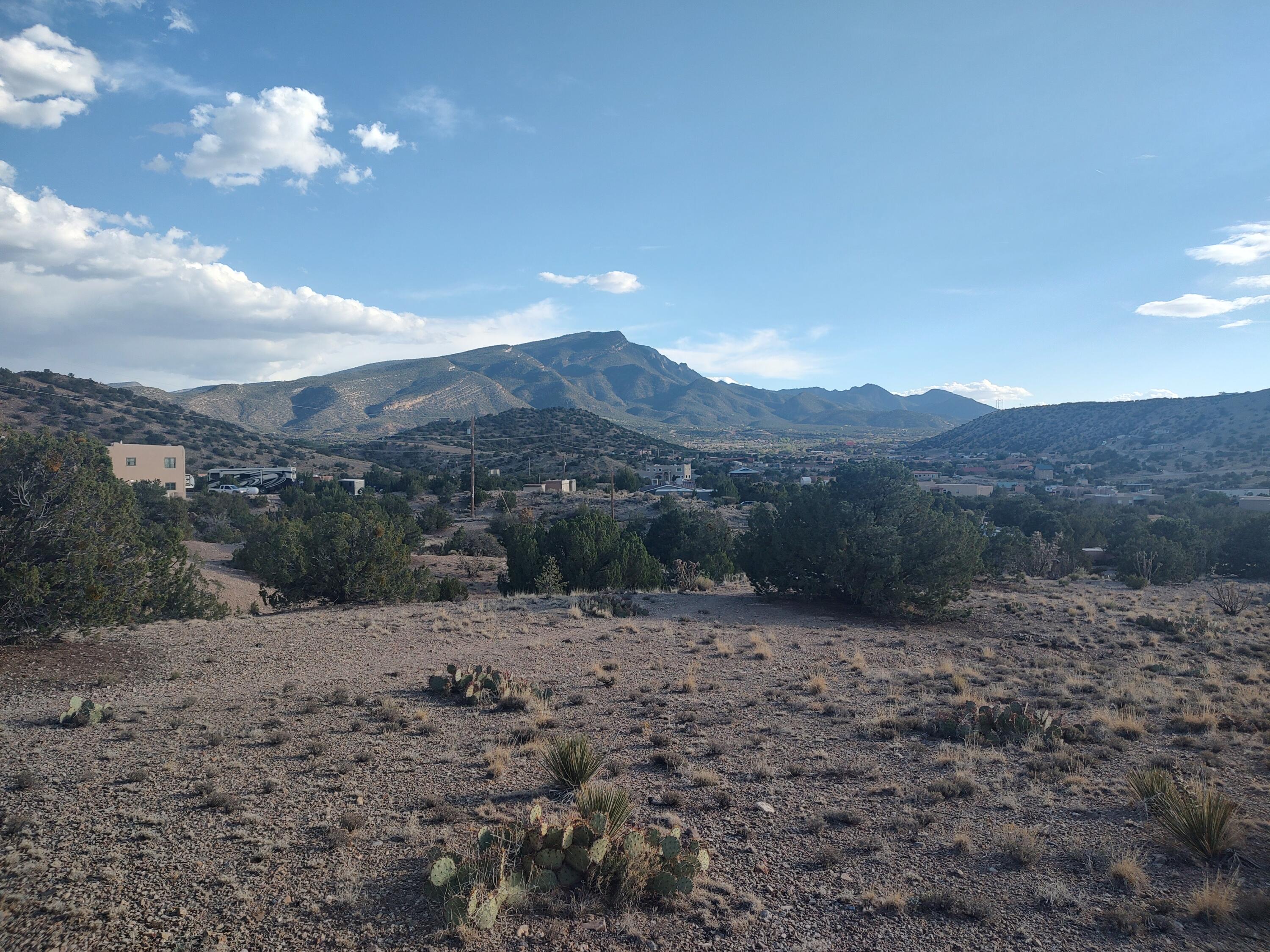 Photo 7 —  Camino De Las Huertas
