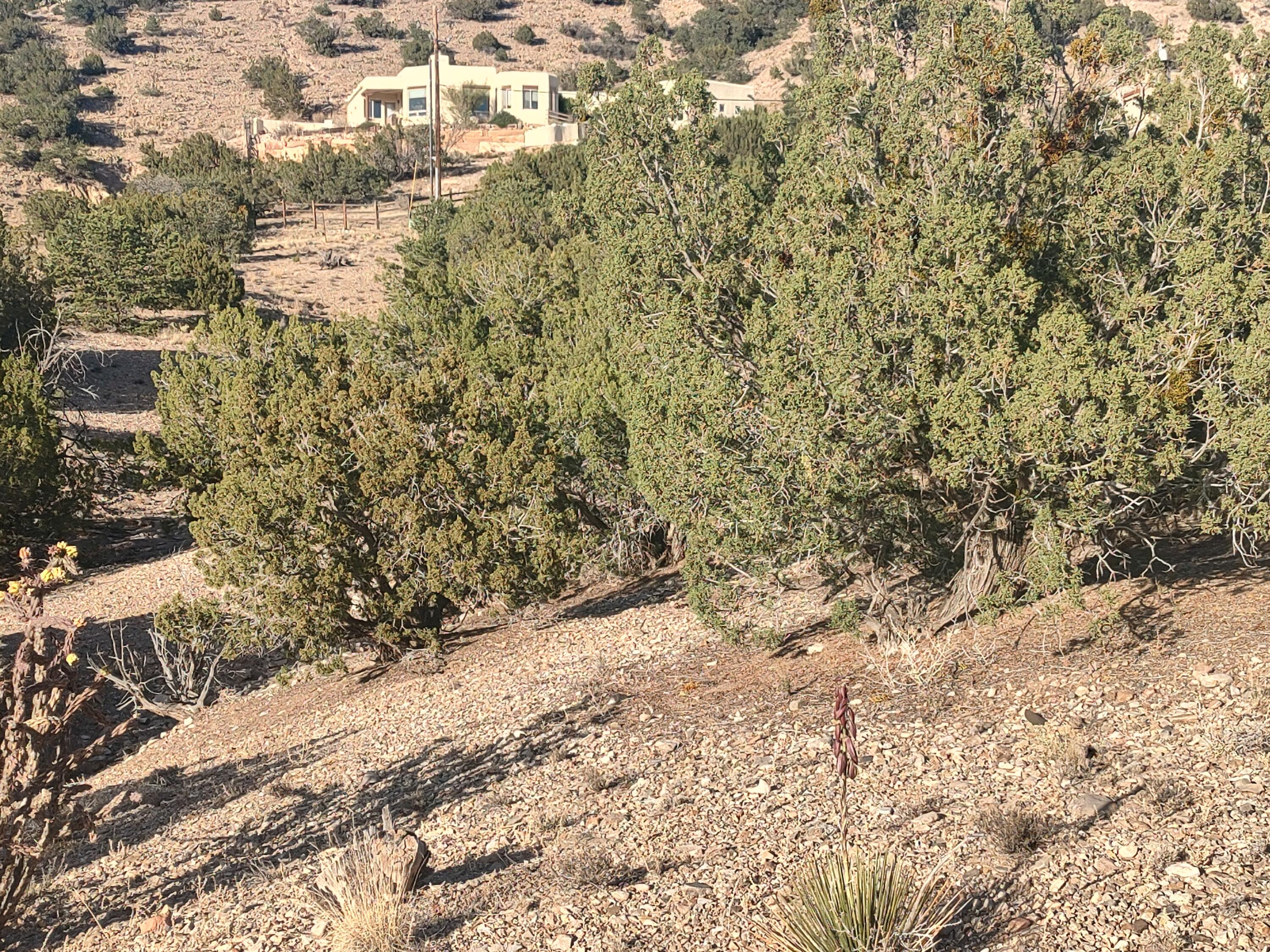 Photo 8 —  Camino De Las Huertas