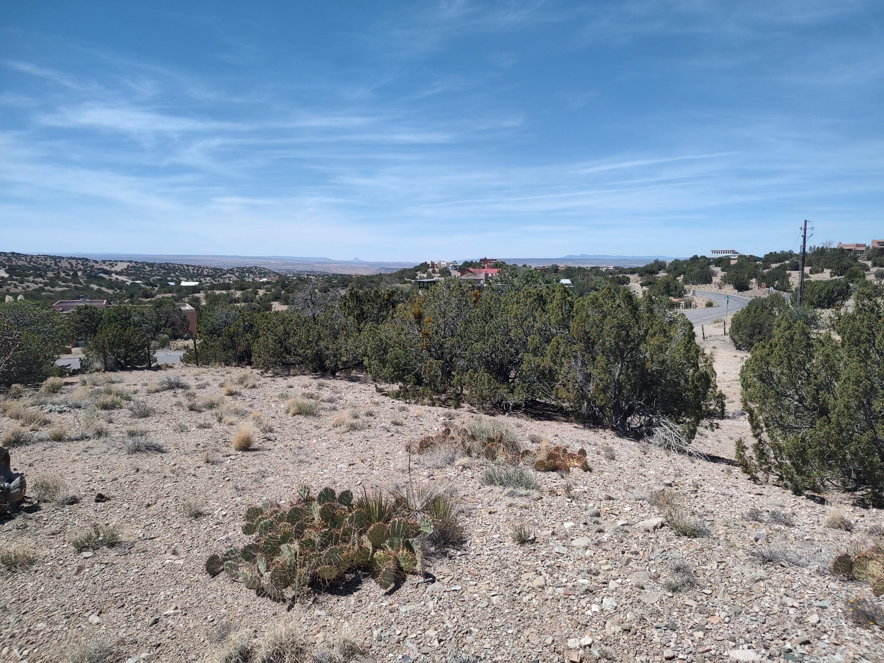 Photo 9 —  Camino De Las Huertas